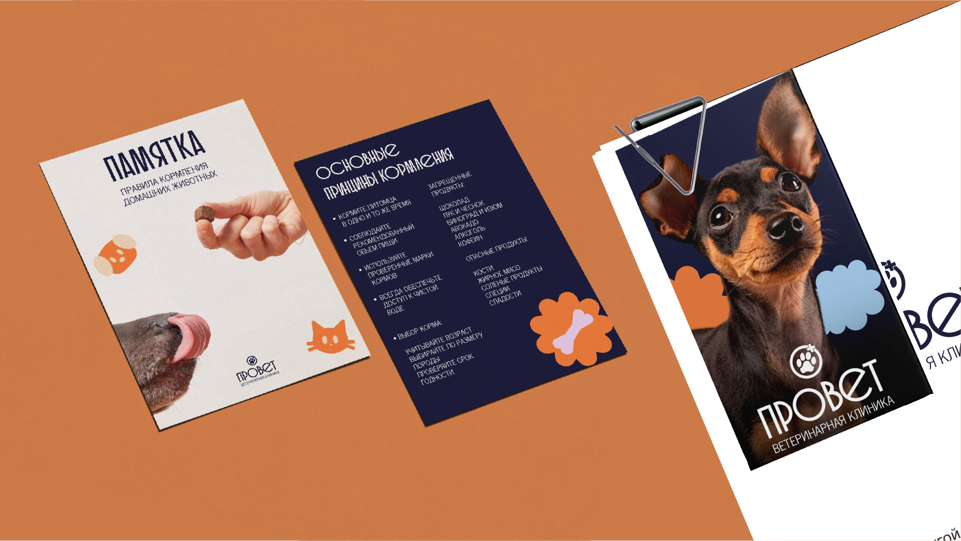 Портфолио| Графический дизайнер — Изображение №13 — Брендинг на Dprofile