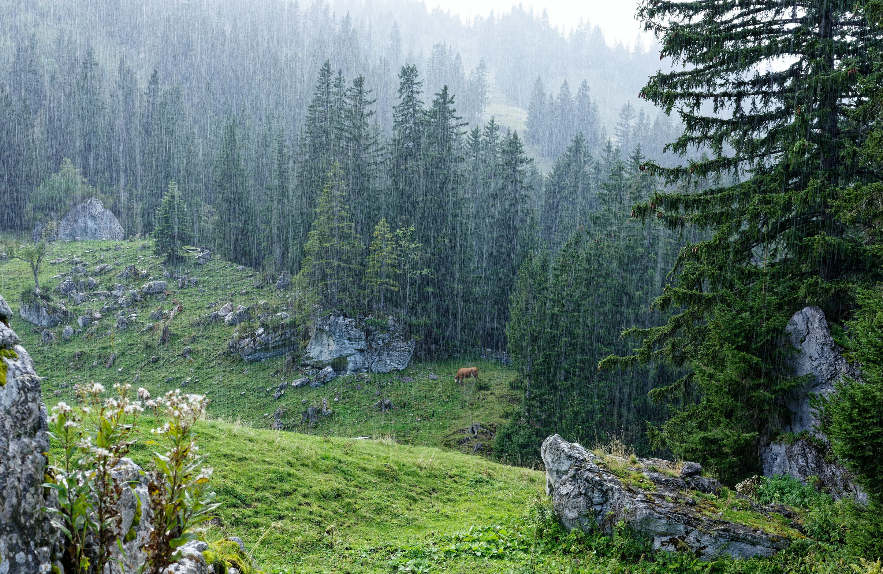 Chill — концепт айдентики и UI — Изображение №11 — Интерфейсы, Брендинг на Dprofile