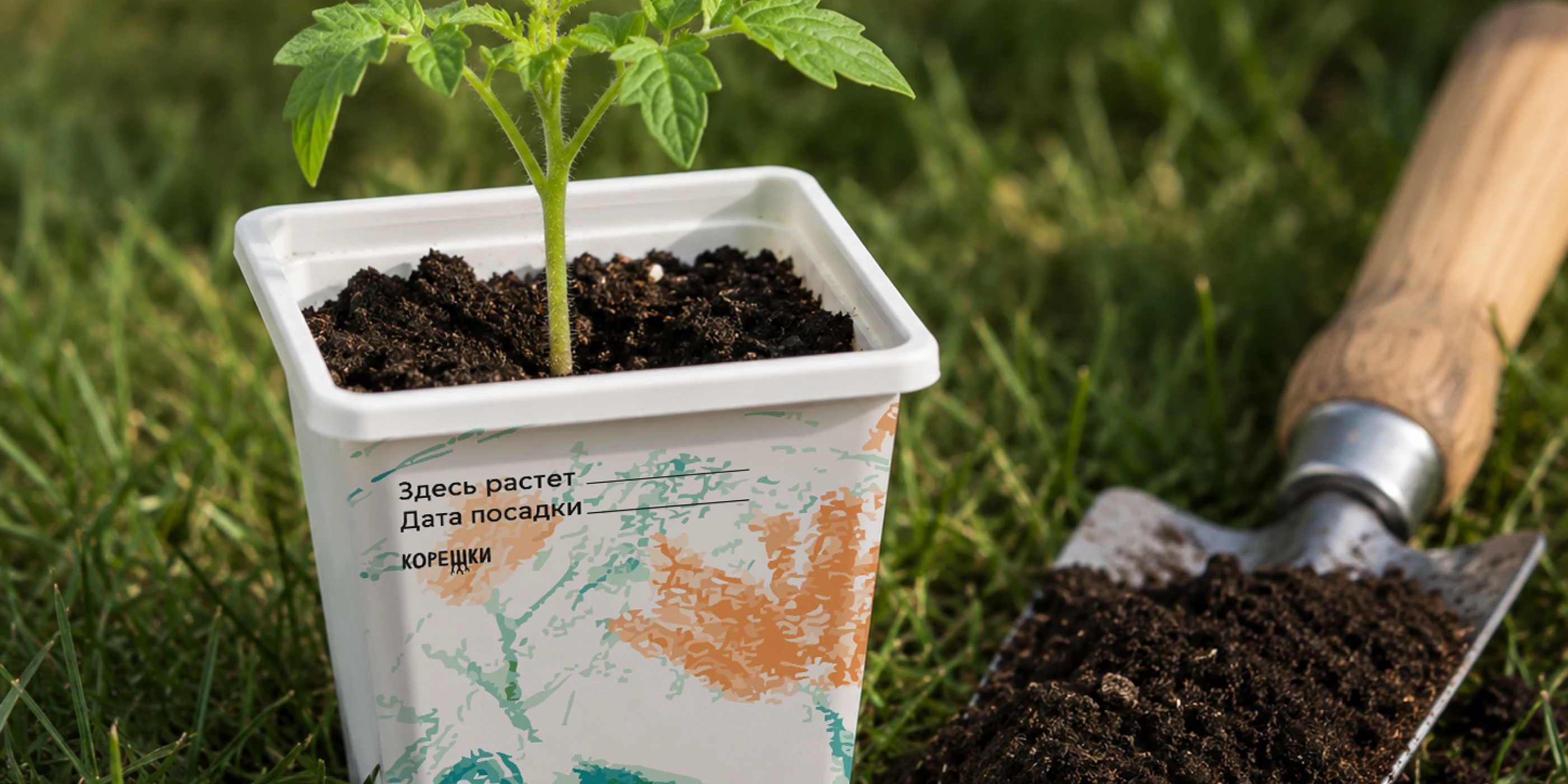 корешки – брендинг семян, вдохновлённый детскими рисунками — Изображение №9 — Брендинг, Иллюстрация на Dprofile
