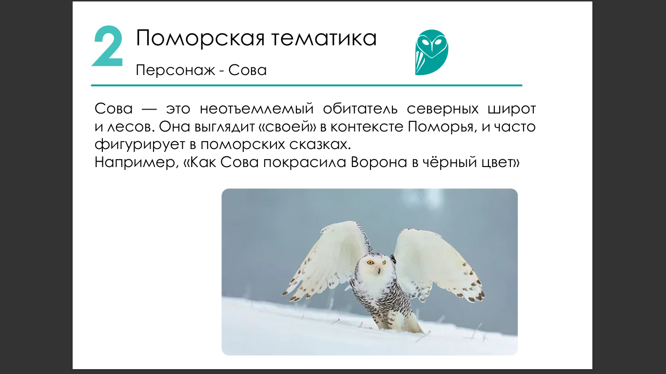 Разработка маскотов для ТИЦ в г.Кола — Изображение №4 — Брендинг, Иллюстрация на Dprofile