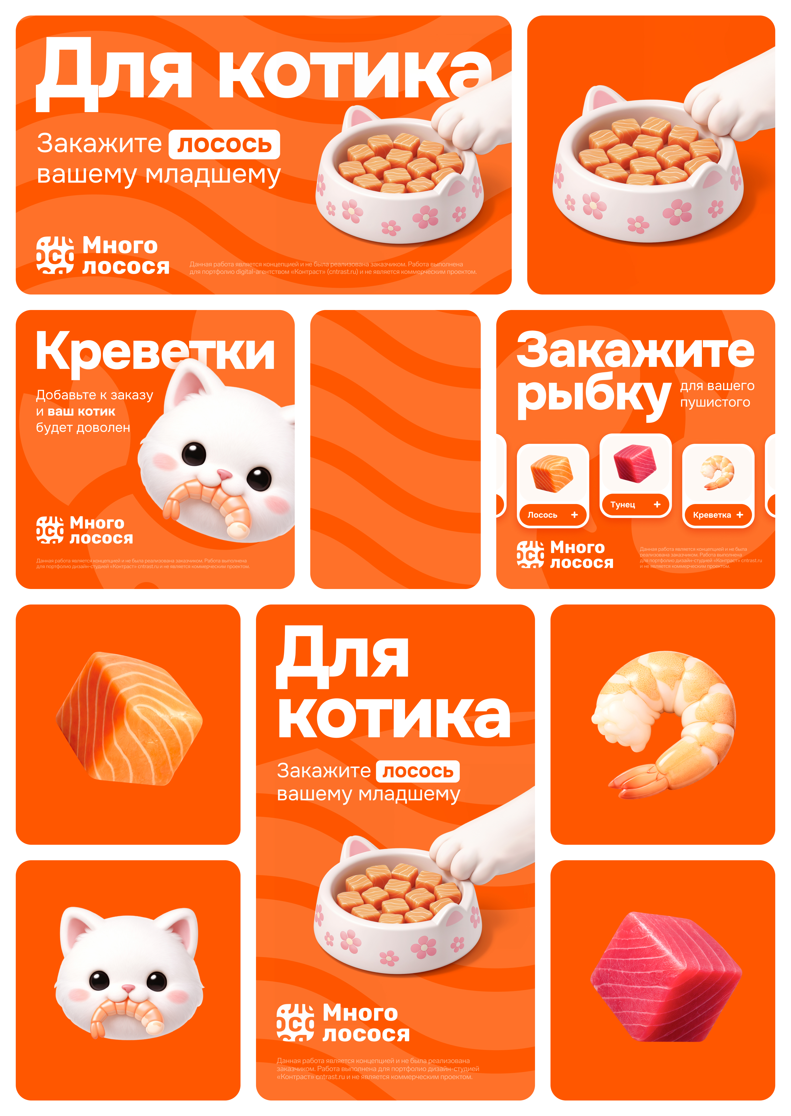 Много Лосося | Котику — Изображение №2 — Маркетинг на Dprofile