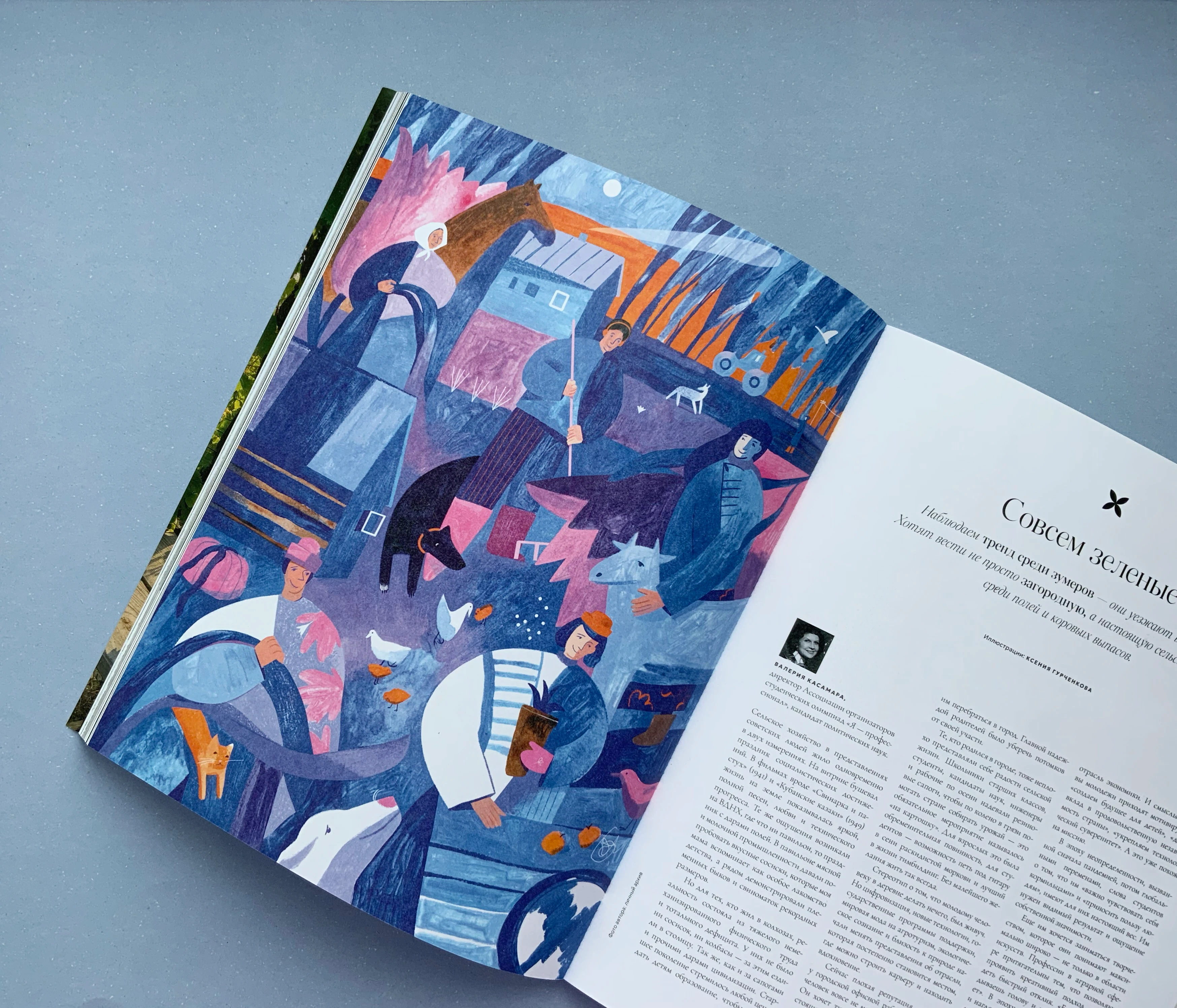 Иллюстрации для журнала Огород — Изображение №1 — Иллюстрация, Графика на Dprofile