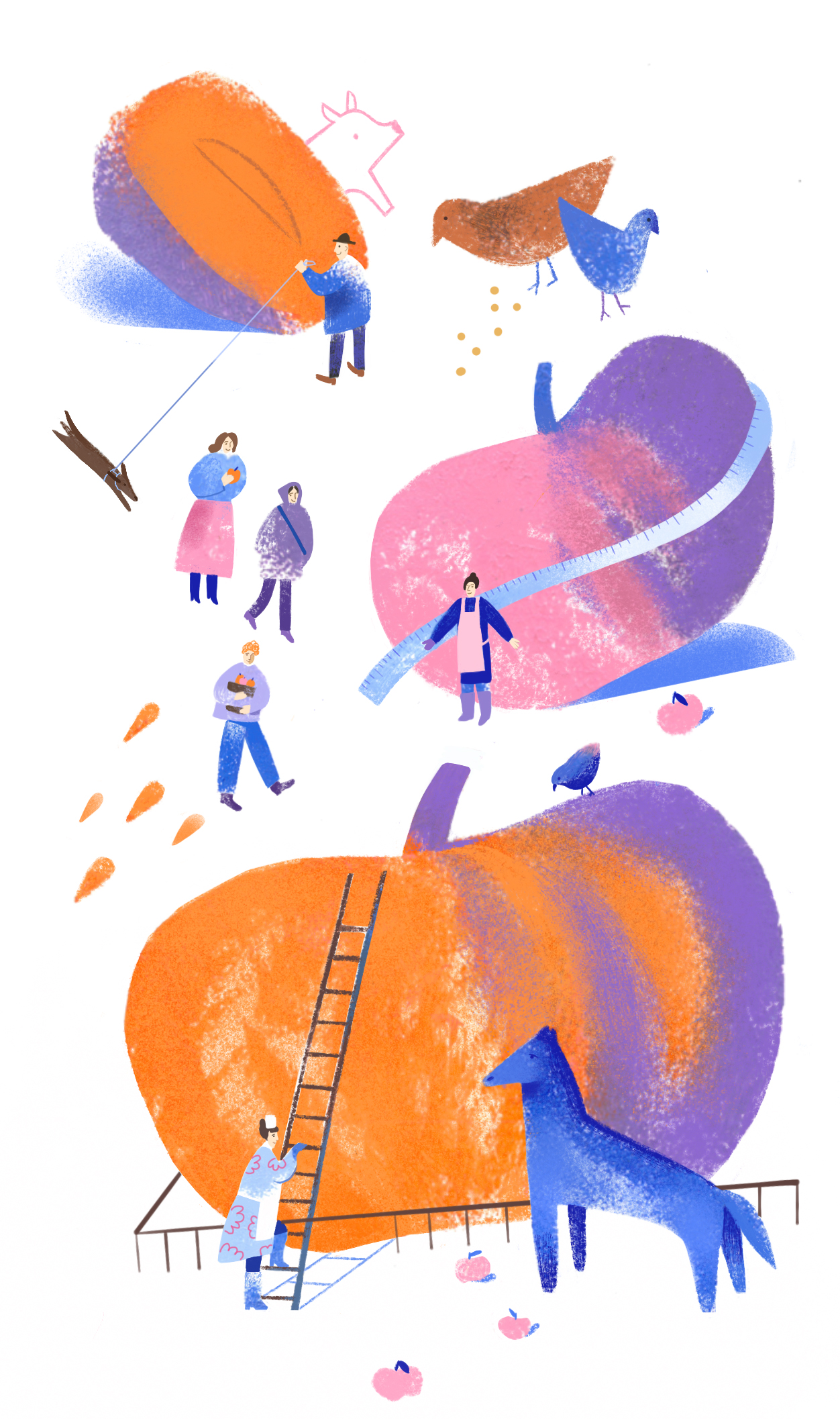 Иллюстрации для журнала Огород — Изображение №6 — Иллюстрация, Графика на Dprofile