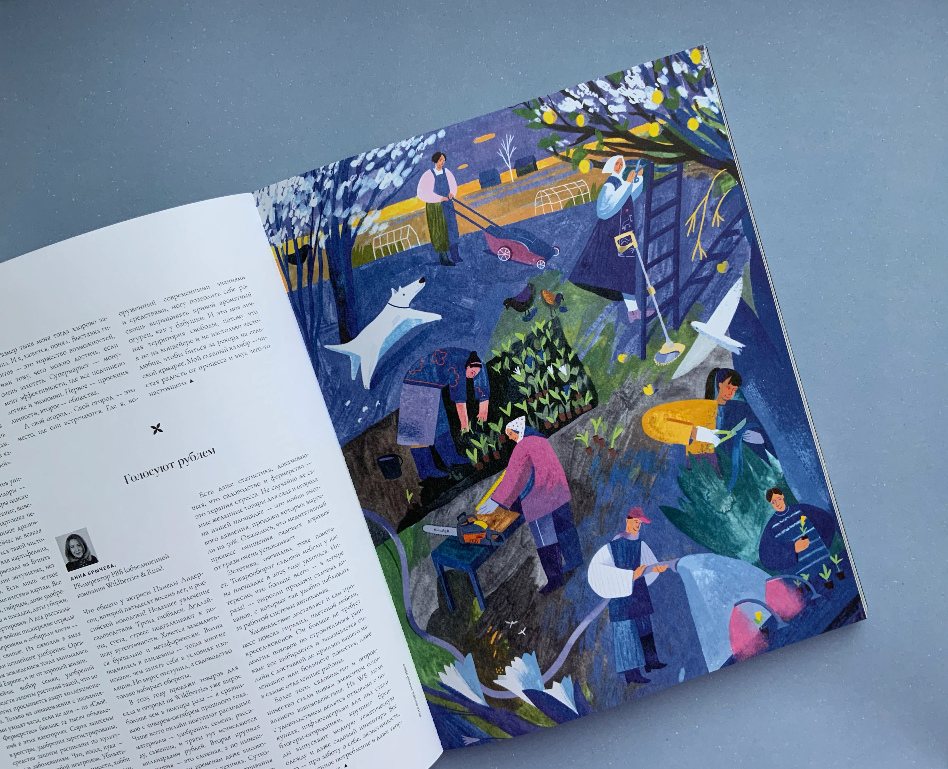 Иллюстрации для журнала Огород — Изображение №4 — Иллюстрация, Графика на Dprofile