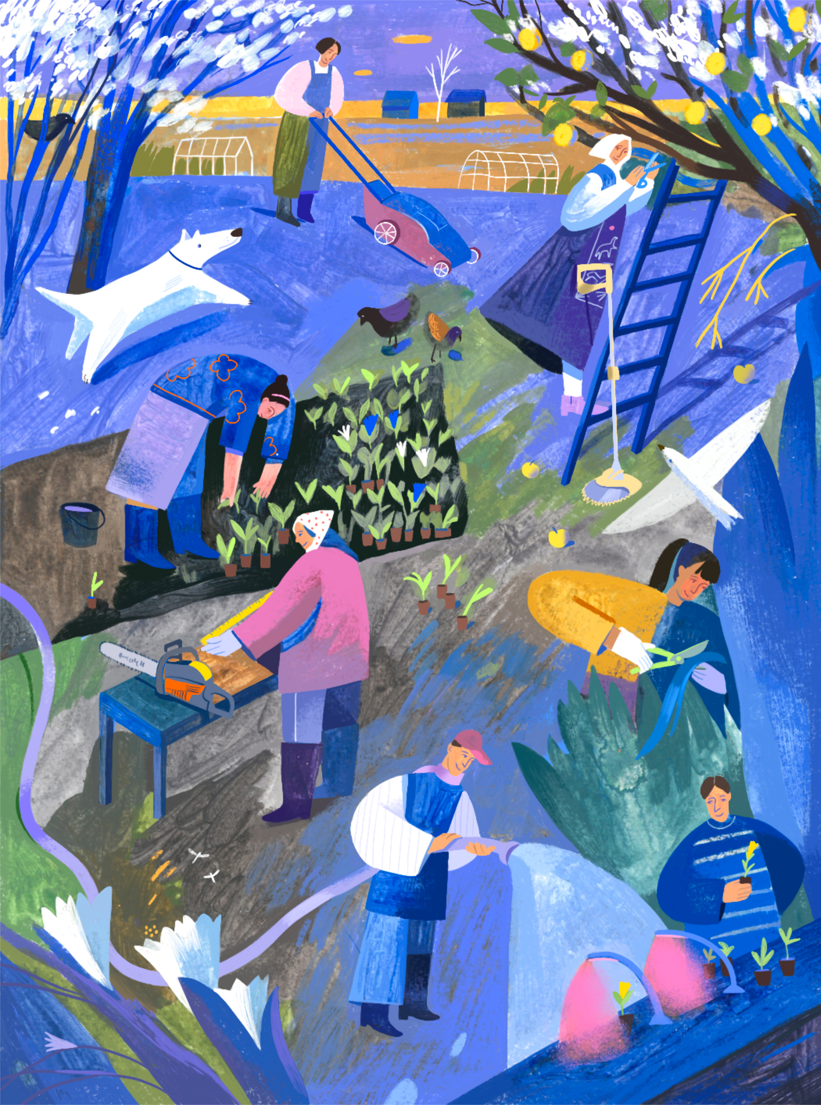 Иллюстрации для журнала Огород — Изображение №5 — Иллюстрация, Графика на Dprofile