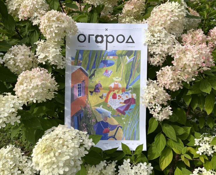 Ogorod Newspaper на Dprofile