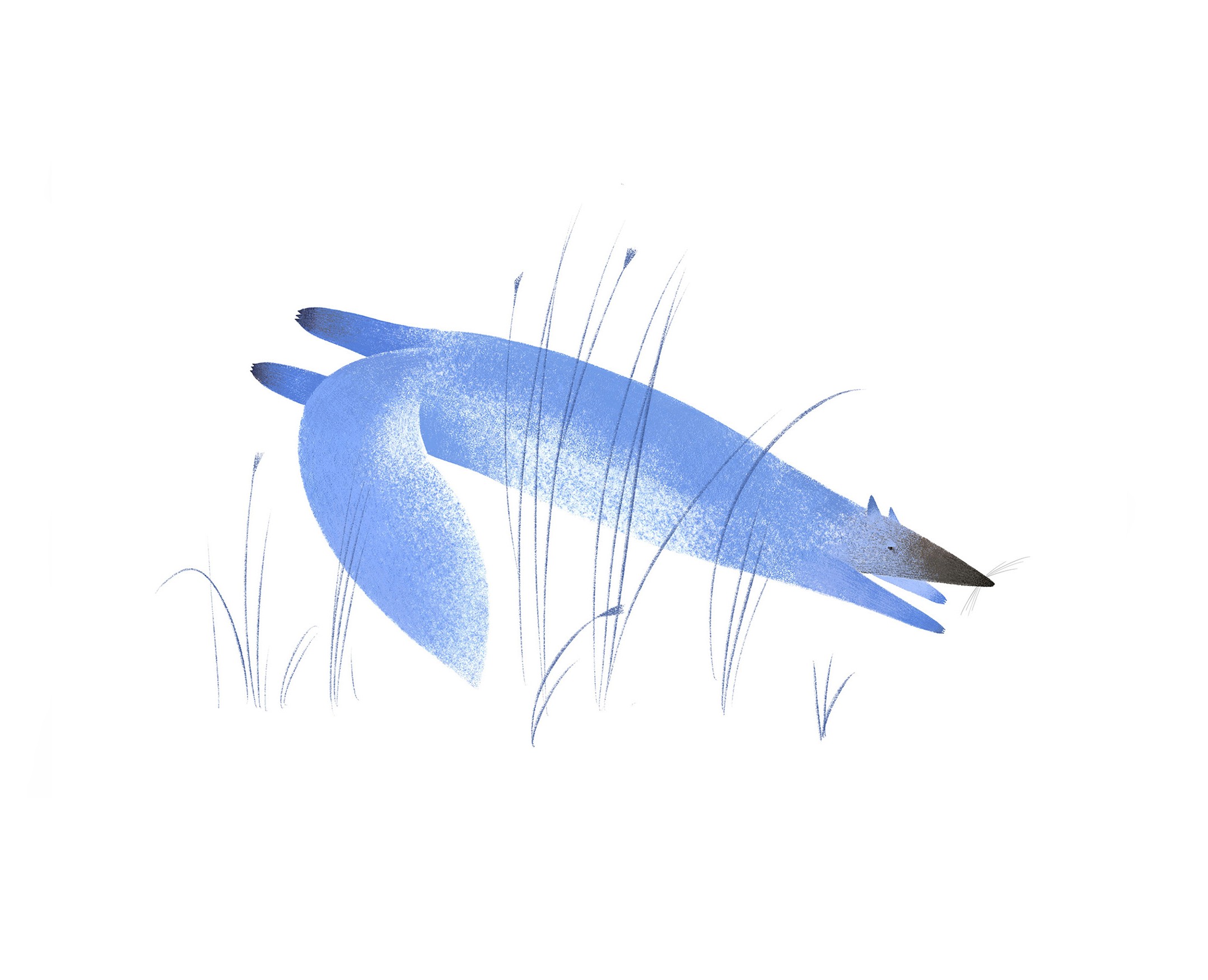 Illustrations for Yuri Koval Nedopesok — Иллюстрация, Анимация на Dprofile