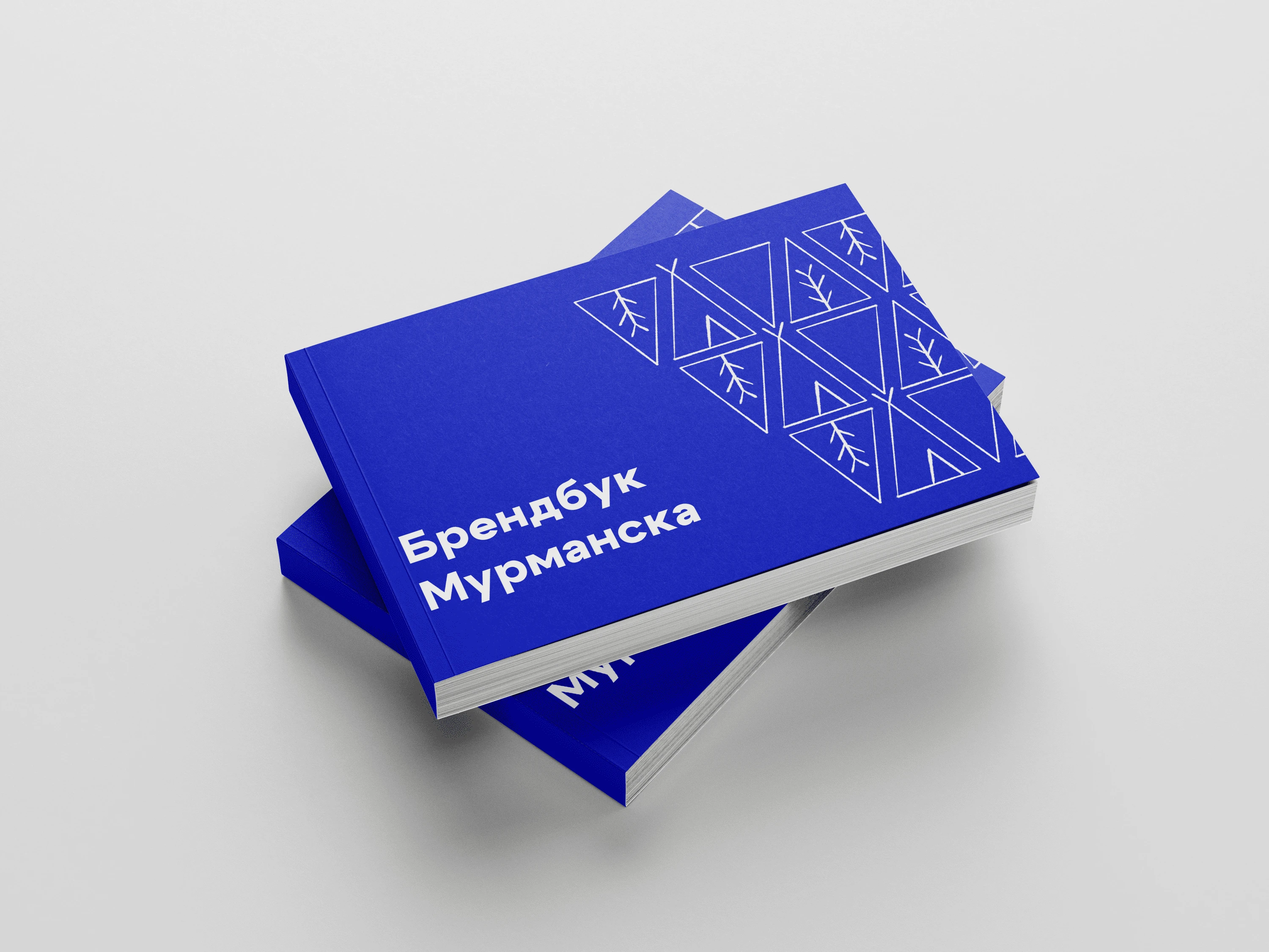 Murmansk — Изображение №1 — Брендинг на Dprofile
