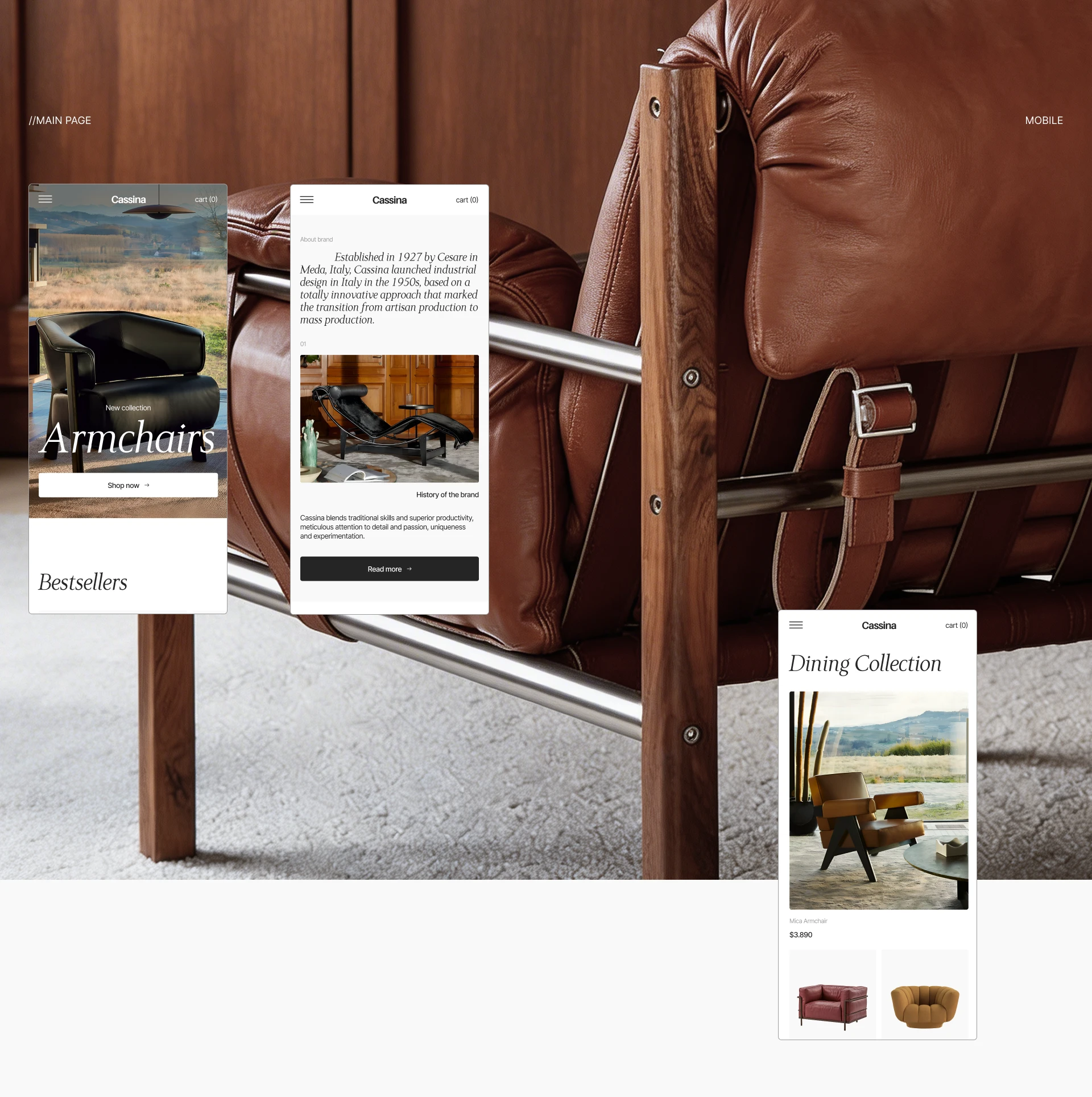Интернет-магазин мебели "Cassina" — Изображение №5 — Интерфейсы на Dprofile