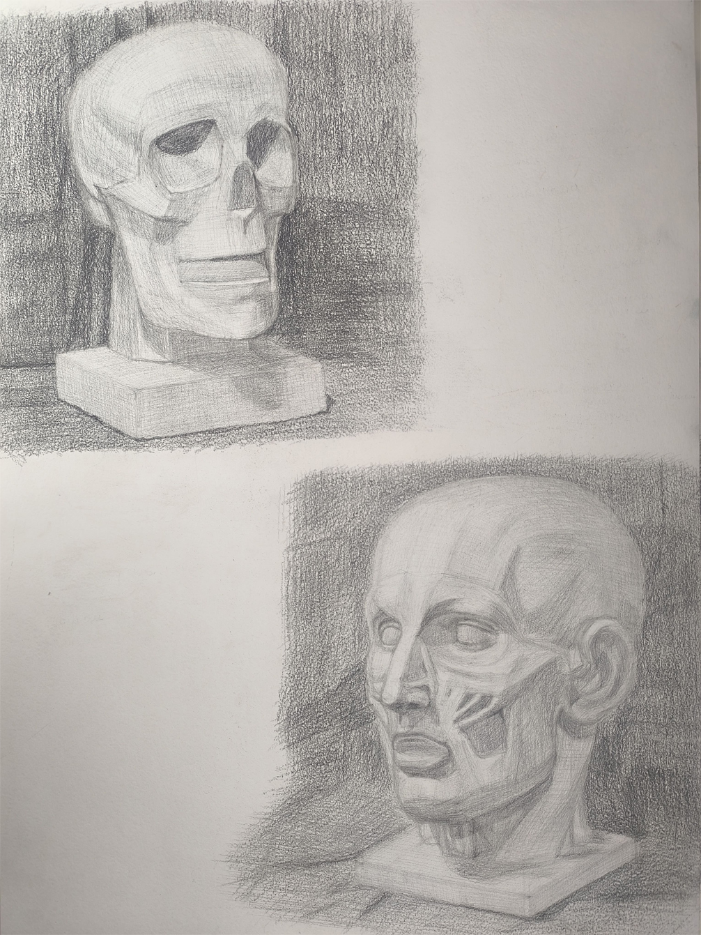 ПОРТФОЛИО — Изображение №1 — Брендинг, Иллюстрация на Dprofile