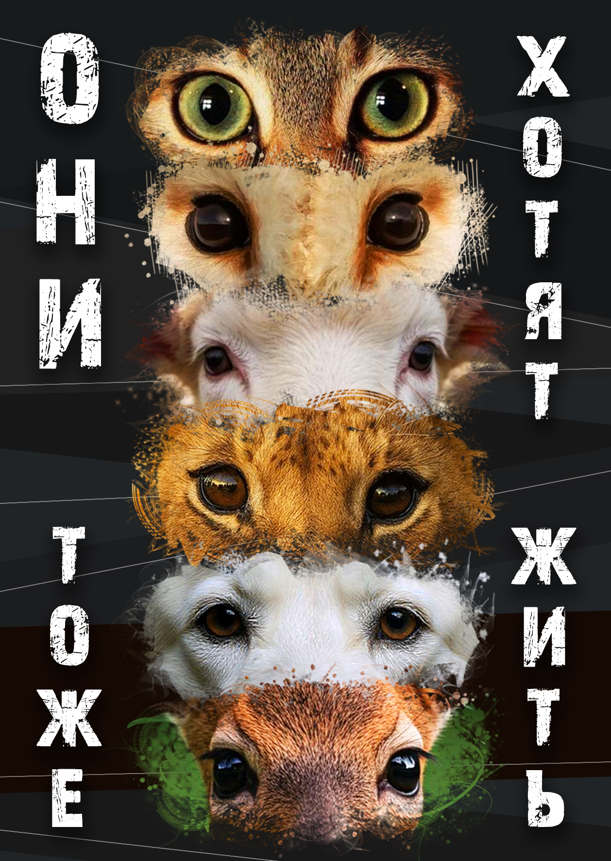 ПОРТФОЛИО — Изображение №29 — Брендинг, Иллюстрация на Dprofile