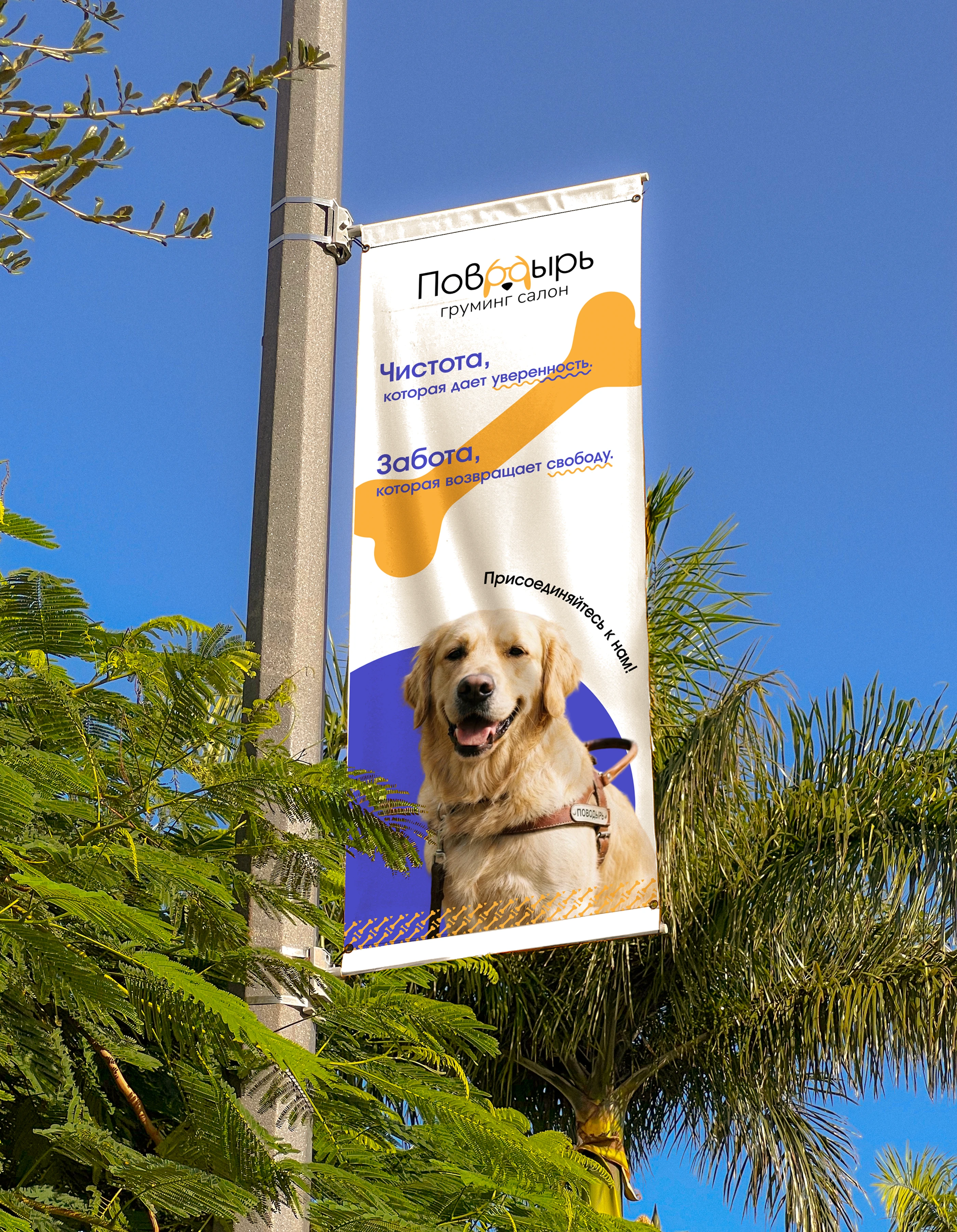 Груминг-салон «Поводырь» — Изображение №8 — Брендинг, Промдизайн на Dprofile