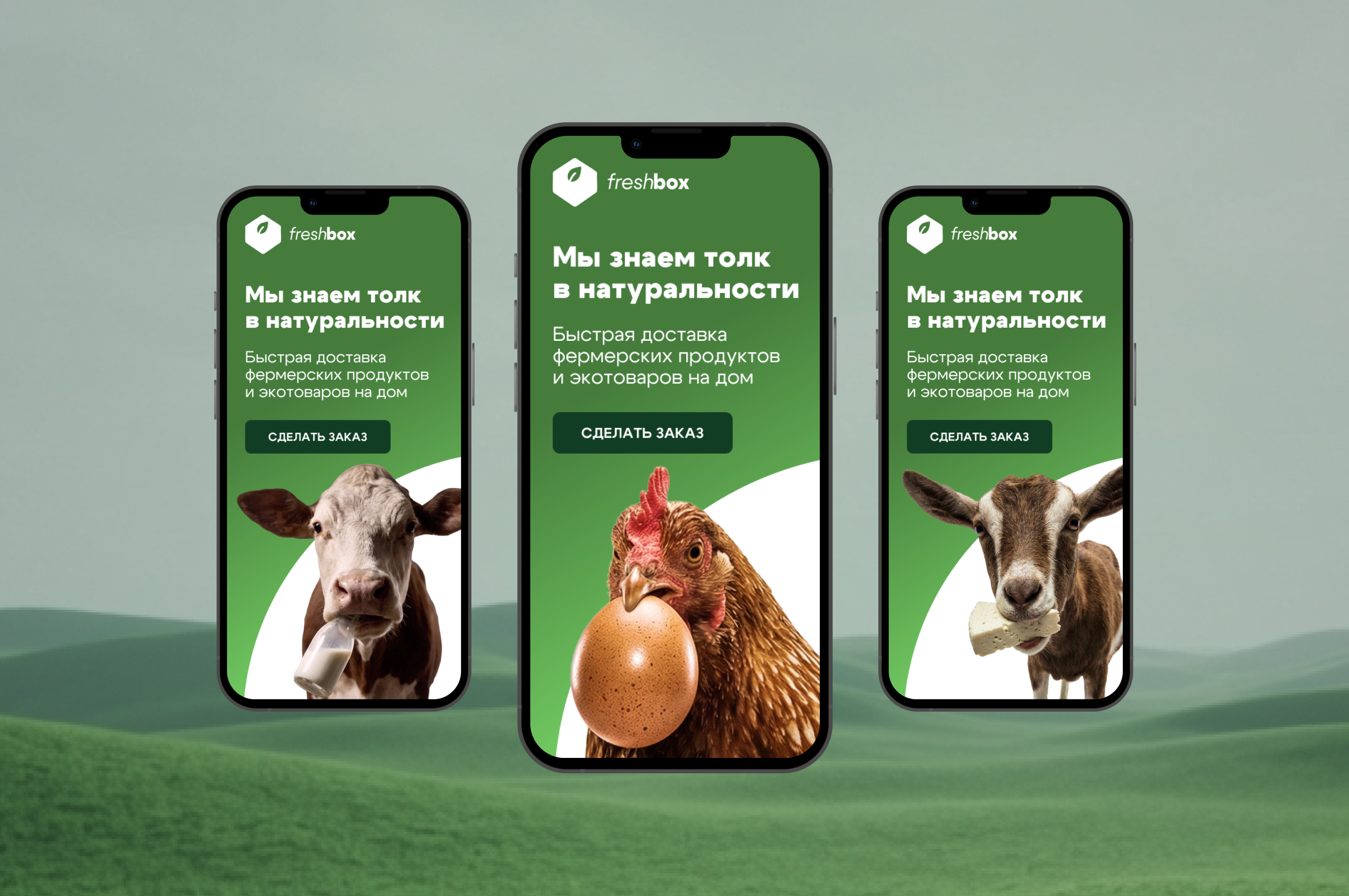 Баннеры для сервиса доставки продуктов и экотоваров — Изображение №8 — Графика, Маркетинг на Dprofile