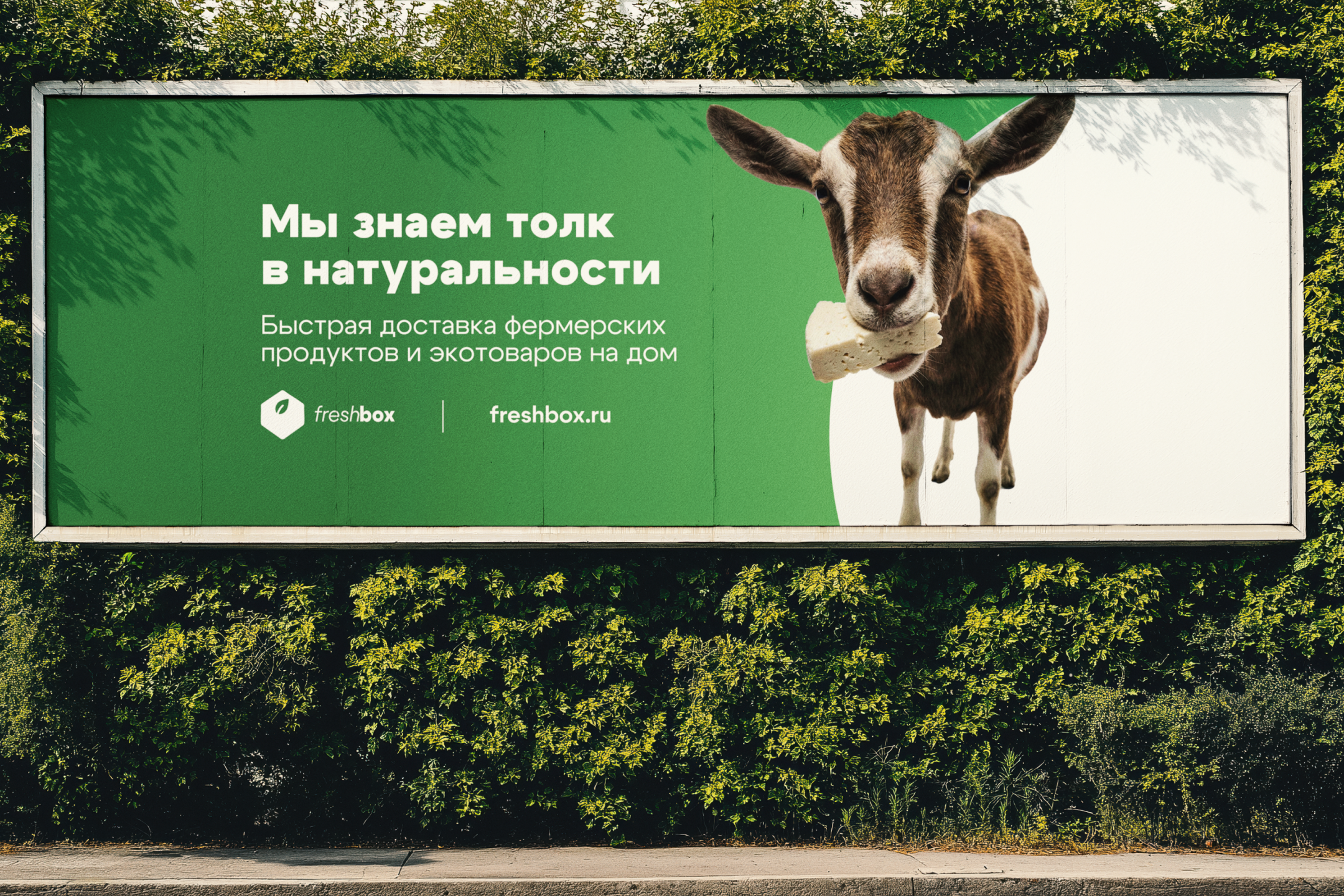 Баннеры для сервиса доставки продуктов и экотоваров — Изображение №6 — Графика, Маркетинг на Dprofile