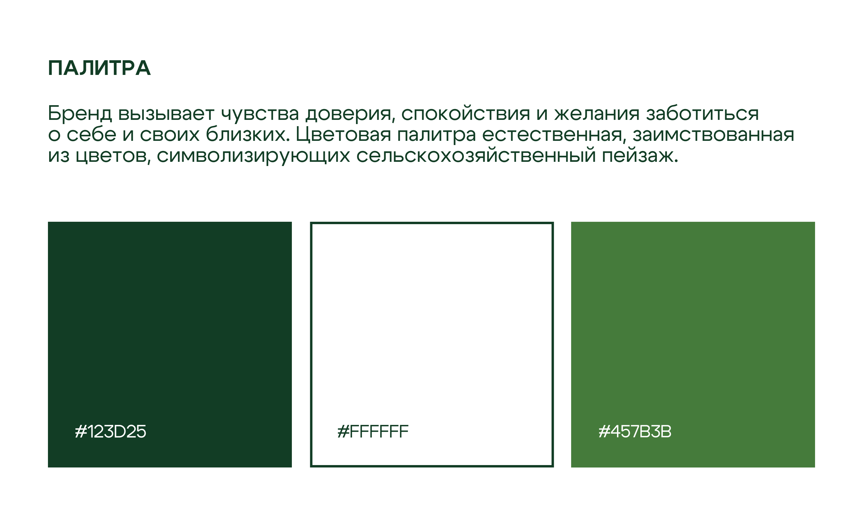 Баннеры для сервиса доставки продуктов и экотоваров — Изображение №7 — Графика, Маркетинг на Dprofile