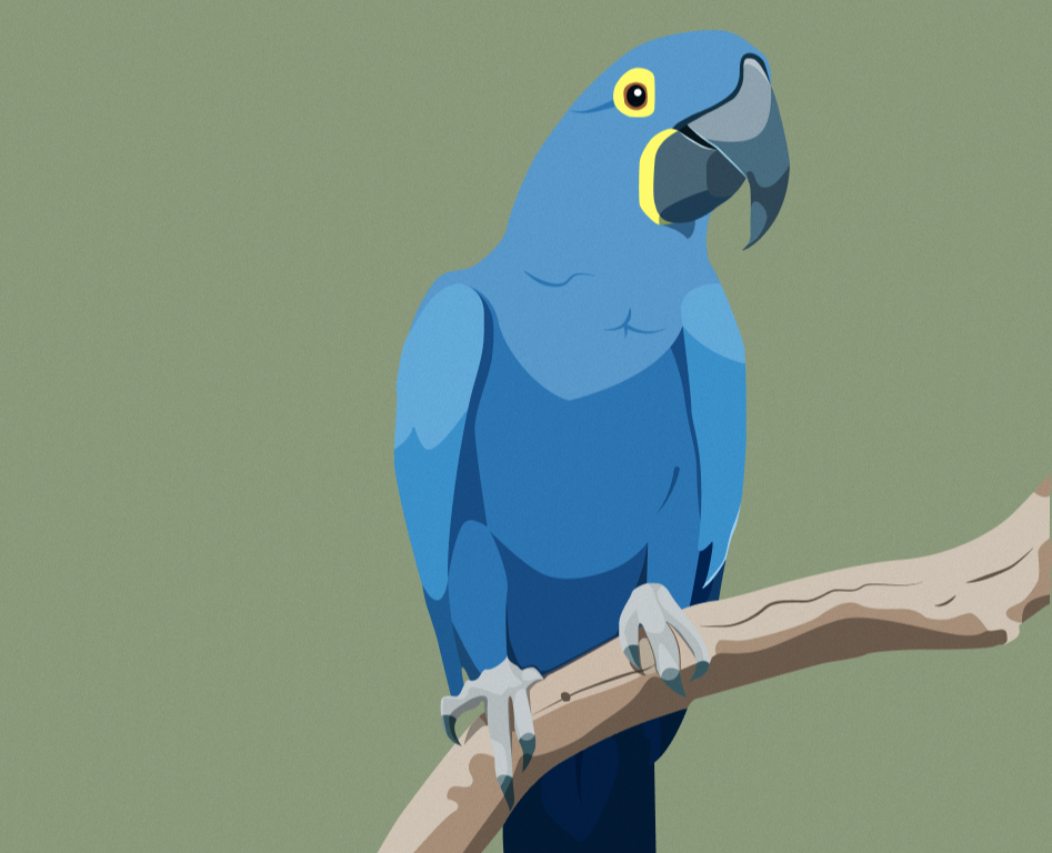 Иллюстрации на Dprofile