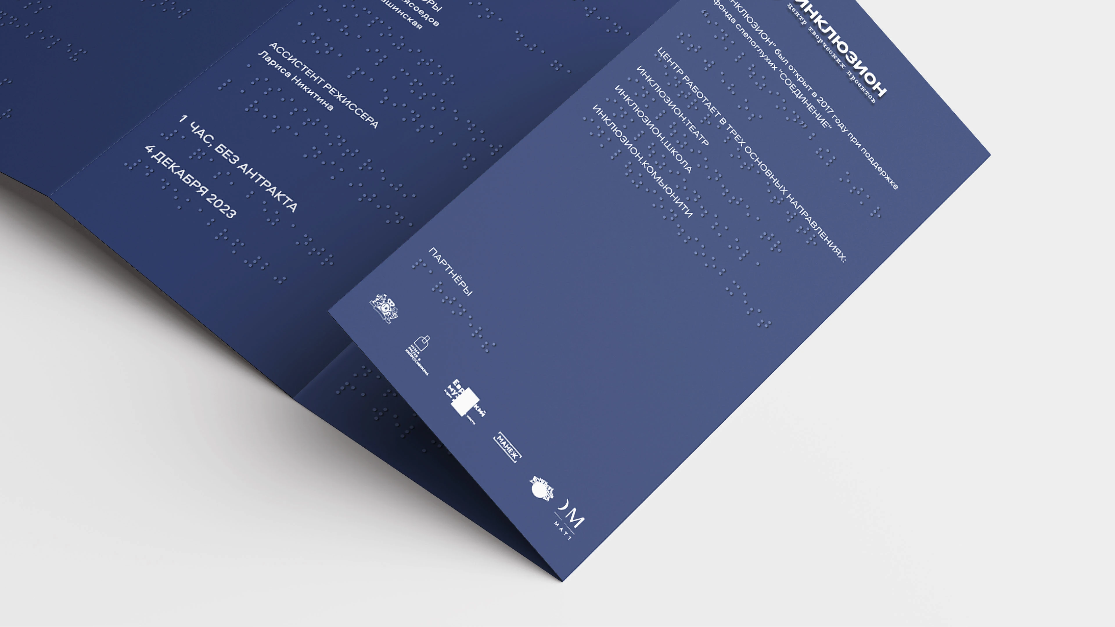 «ИНКЛЮЗИОН» — Изображение №8 — Брендинг на Dprofile