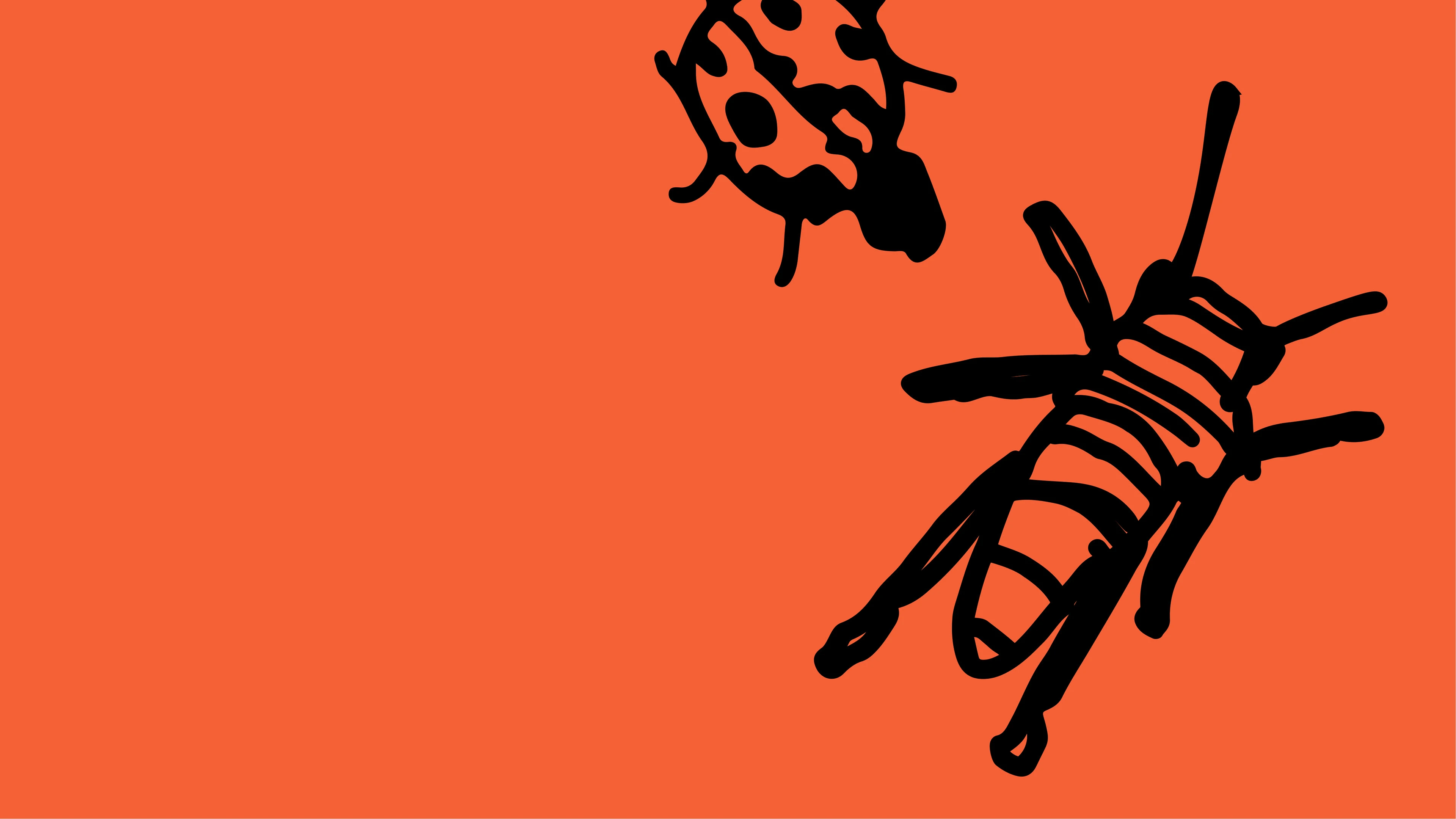 «ИНКЛЮЗИОН» — Изображение №17 — Брендинг на Dprofile