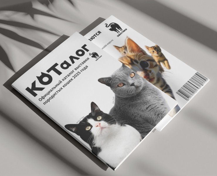 КОТалог — Графика на Dprofile