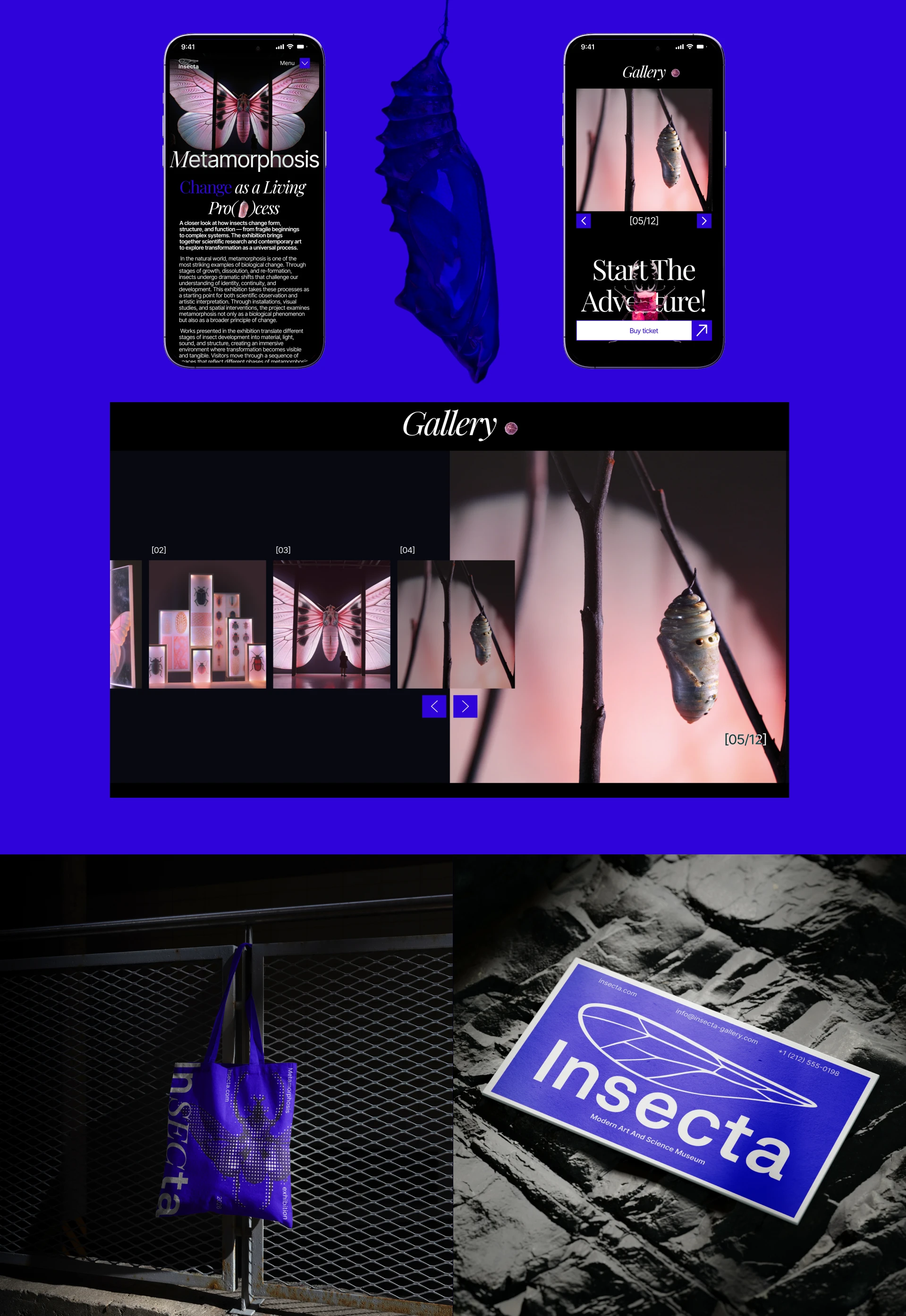 Insecta | Entomology Museum Website — Изображение №6 — Интерфейсы на Dprofile