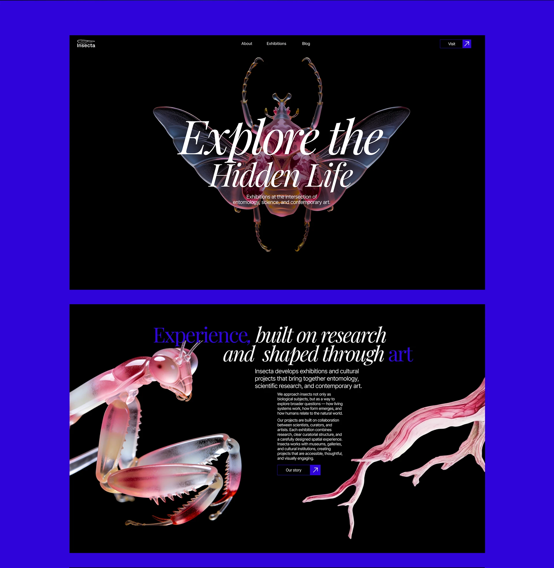 Insecta | Entomology Museum Website — Изображение №2 — Интерфейсы на Dprofile