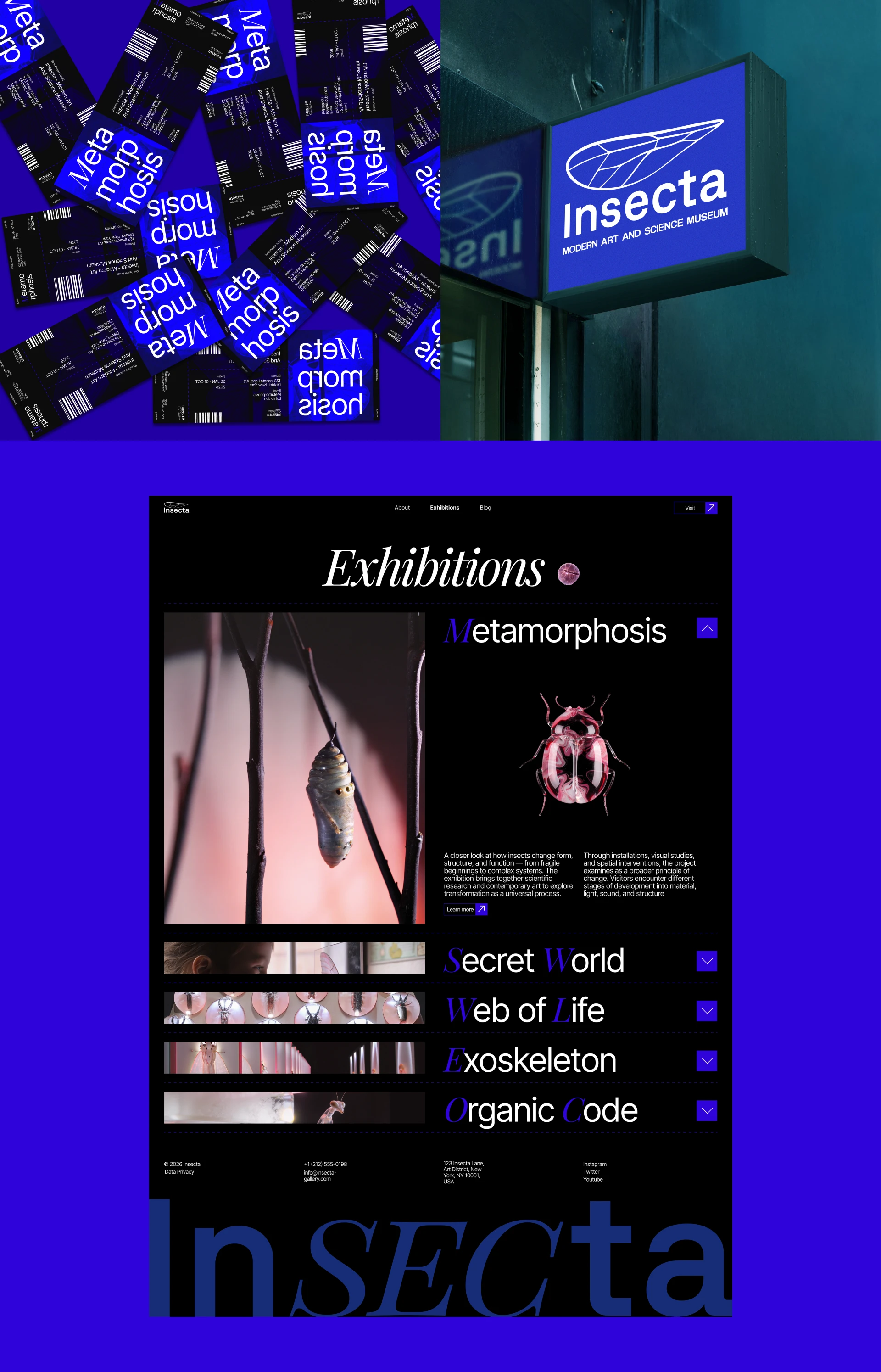 Insecta | Entomology Museum Website — Изображение №4 — Интерфейсы на Dprofile