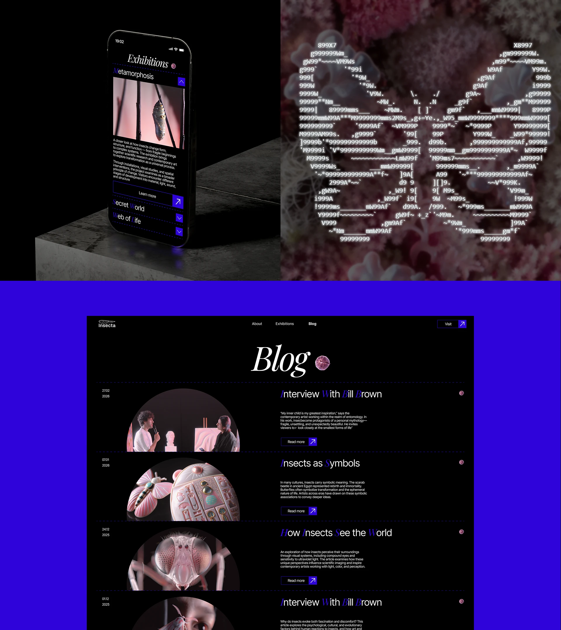 Insecta | Entomology Museum Website — Изображение №8 — Интерфейсы на Dprofile