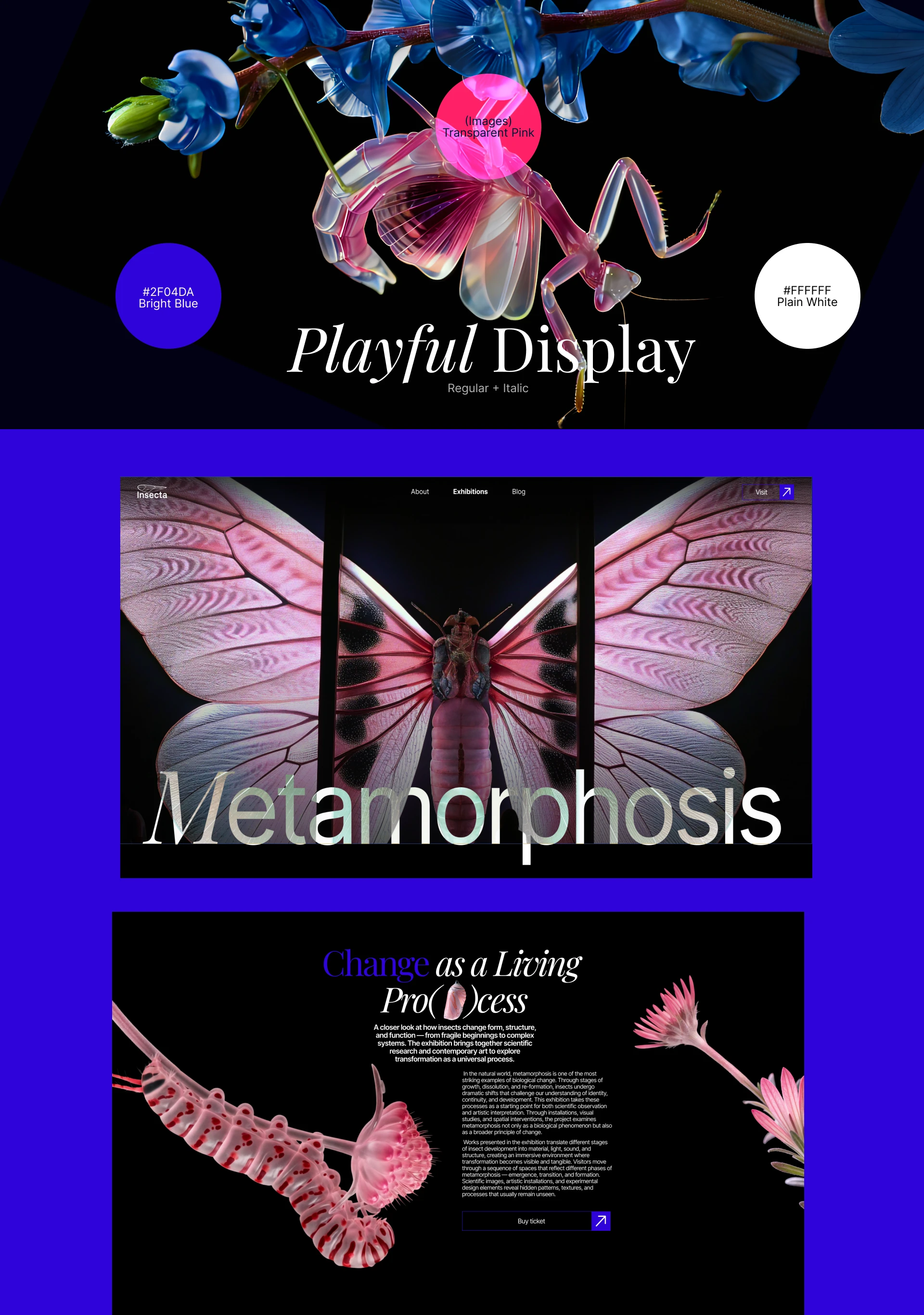 Insecta | Entomology Museum Website — Изображение №5 — Интерфейсы на Dprofile