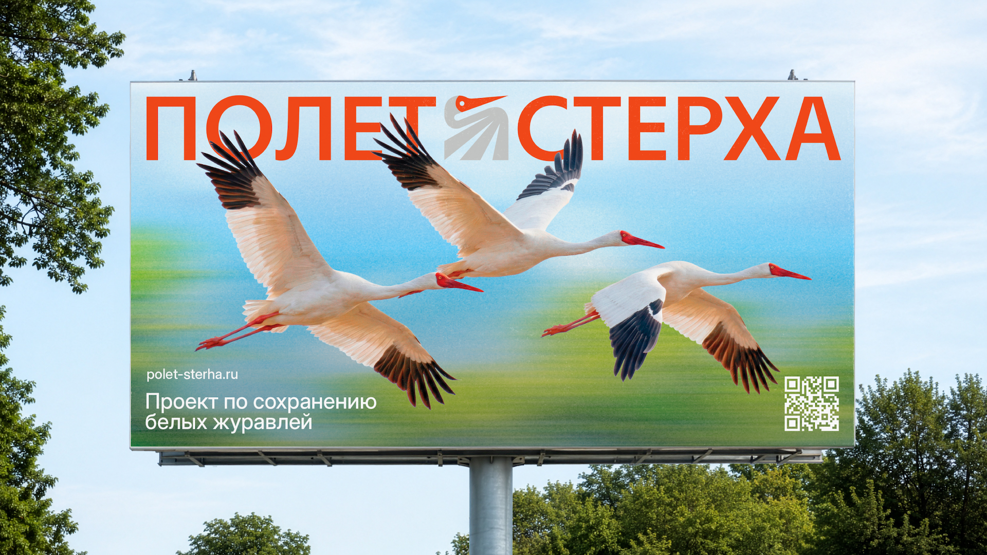Полет стерха. Айдентика международного проекта — Изображение №2 — Брендинг, Графика на Dprofile