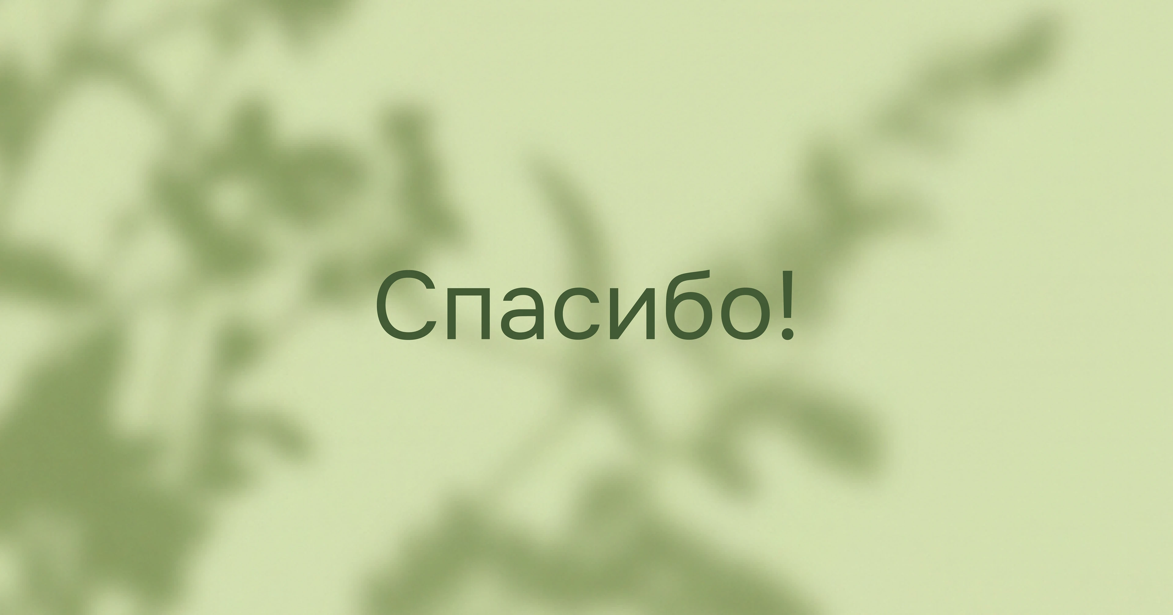 TRAVOTEKA / Natural Supplements & Cosmetics — Изображение №10 — Брендинг на Dprofile