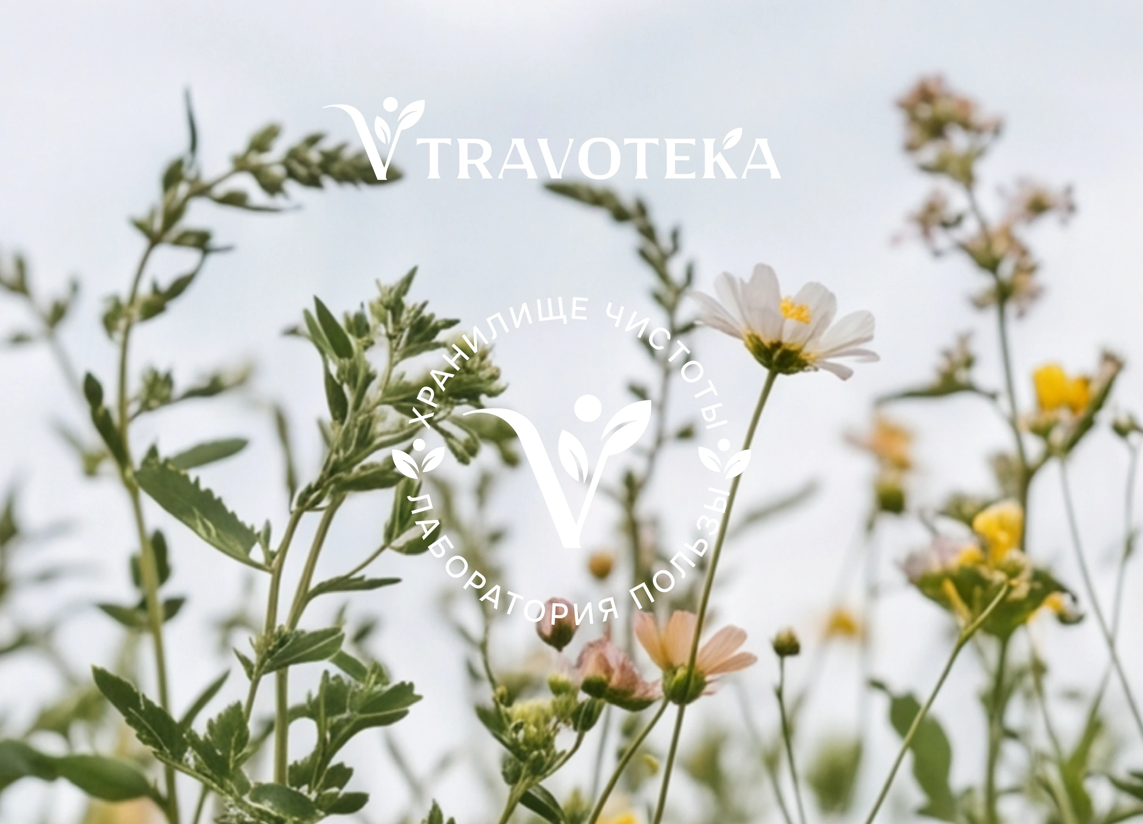 TRAVOTEKA / Natural Supplements & Cosmetics — Изображение №1 — Брендинг на Dprofile