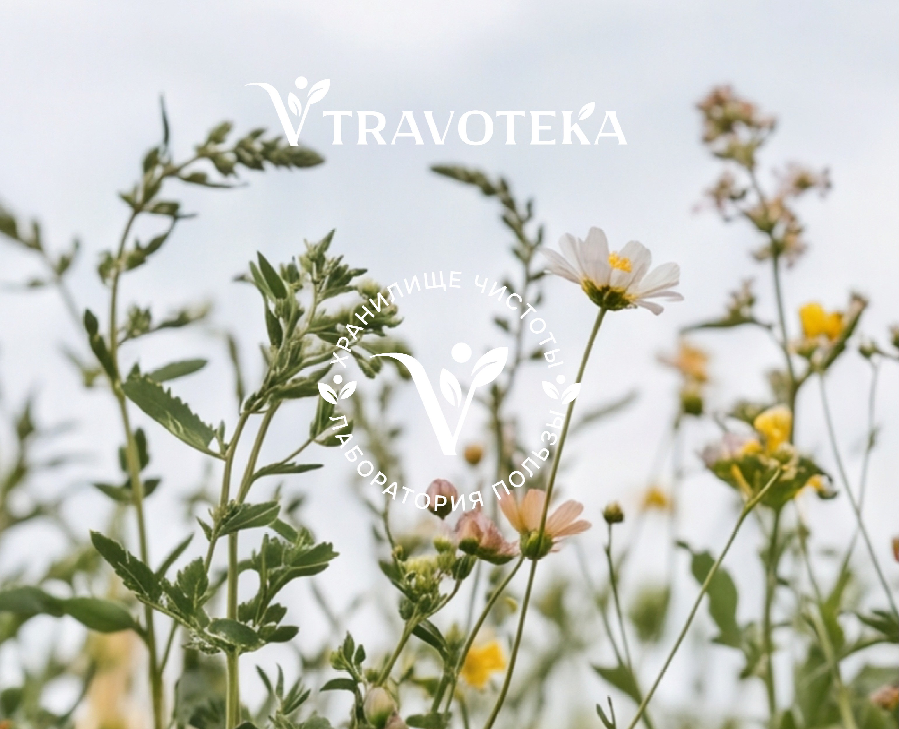TRAVOTEKA / Natural Supplements & Cosmetics — Брендинг на Dprofile