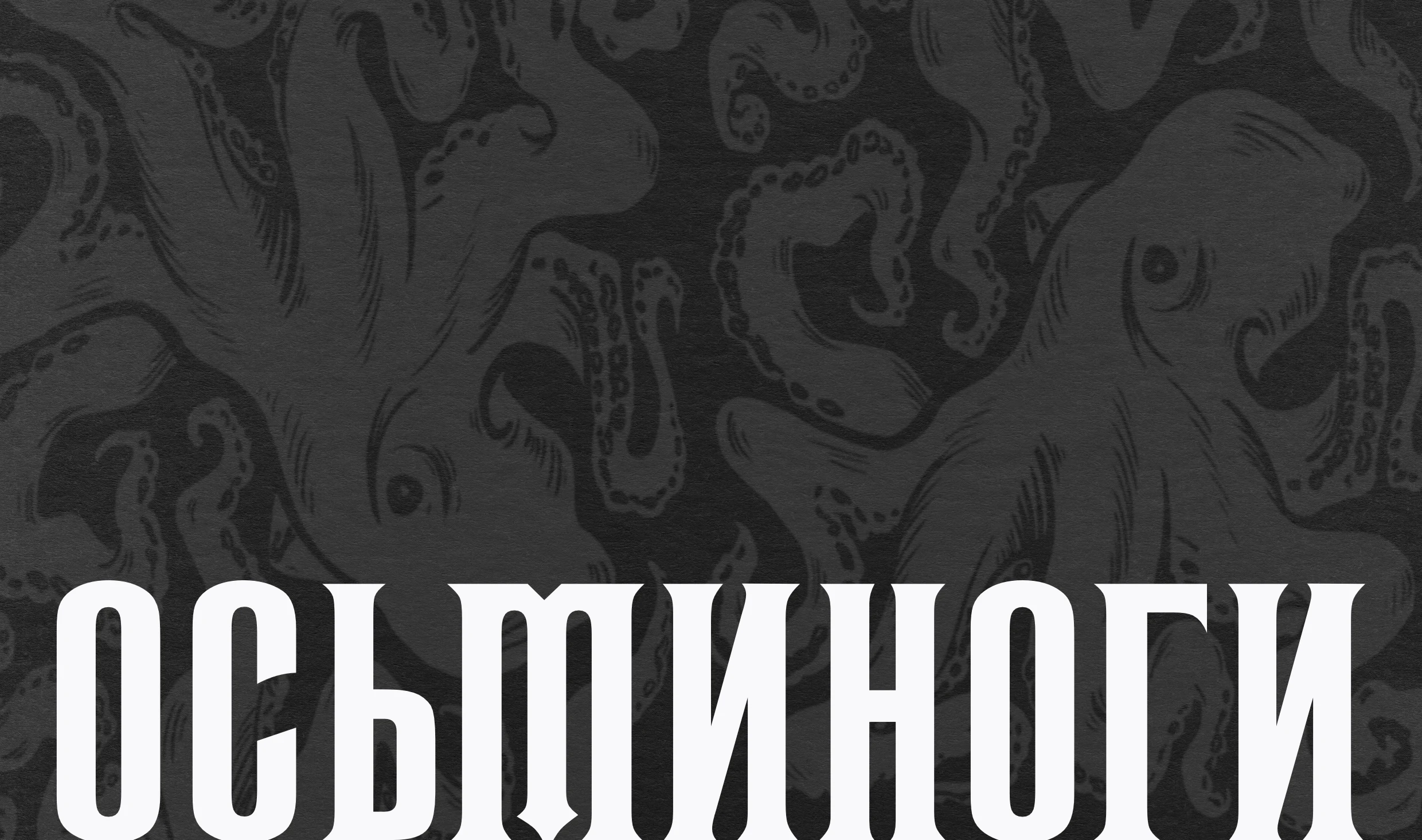 Дизайн упаковки осьминогов "За Родину" — Изображение №1 — Брендинг, Графика на Dprofile