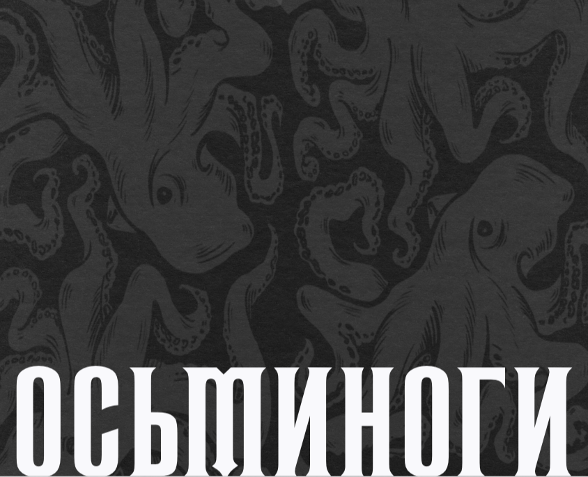 Дизайн упаковки осьминогов "За Родину" — Брендинг, Графика на Dprofile