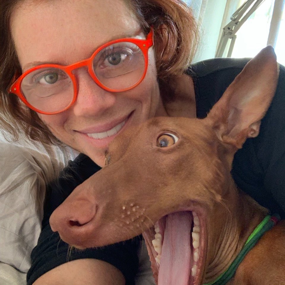 Аватар пользователя Елена Таршис