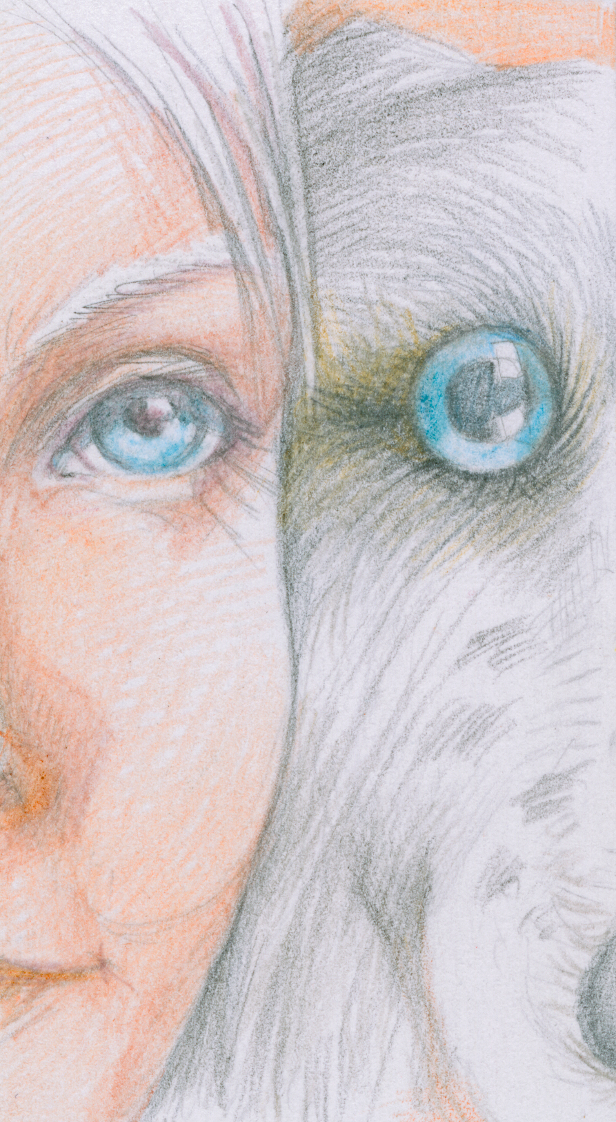 Иллюстрации для книжных обложек | Персонажи и сторителлинг — Изображение №3 — Иллюстрация, Графика на Dprofile