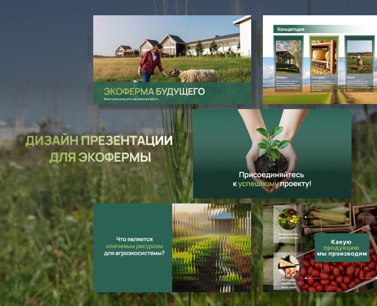 Дизайн презентации для экофермы — Графика, Маркетинг на Dprofile