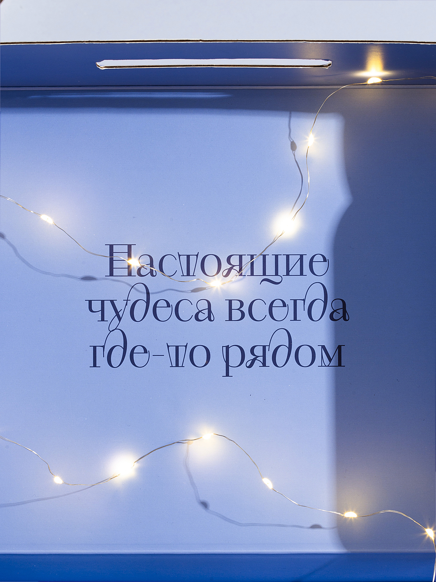 Ярмарка чудес — Изображение №3 — Брендинг на Dprofile