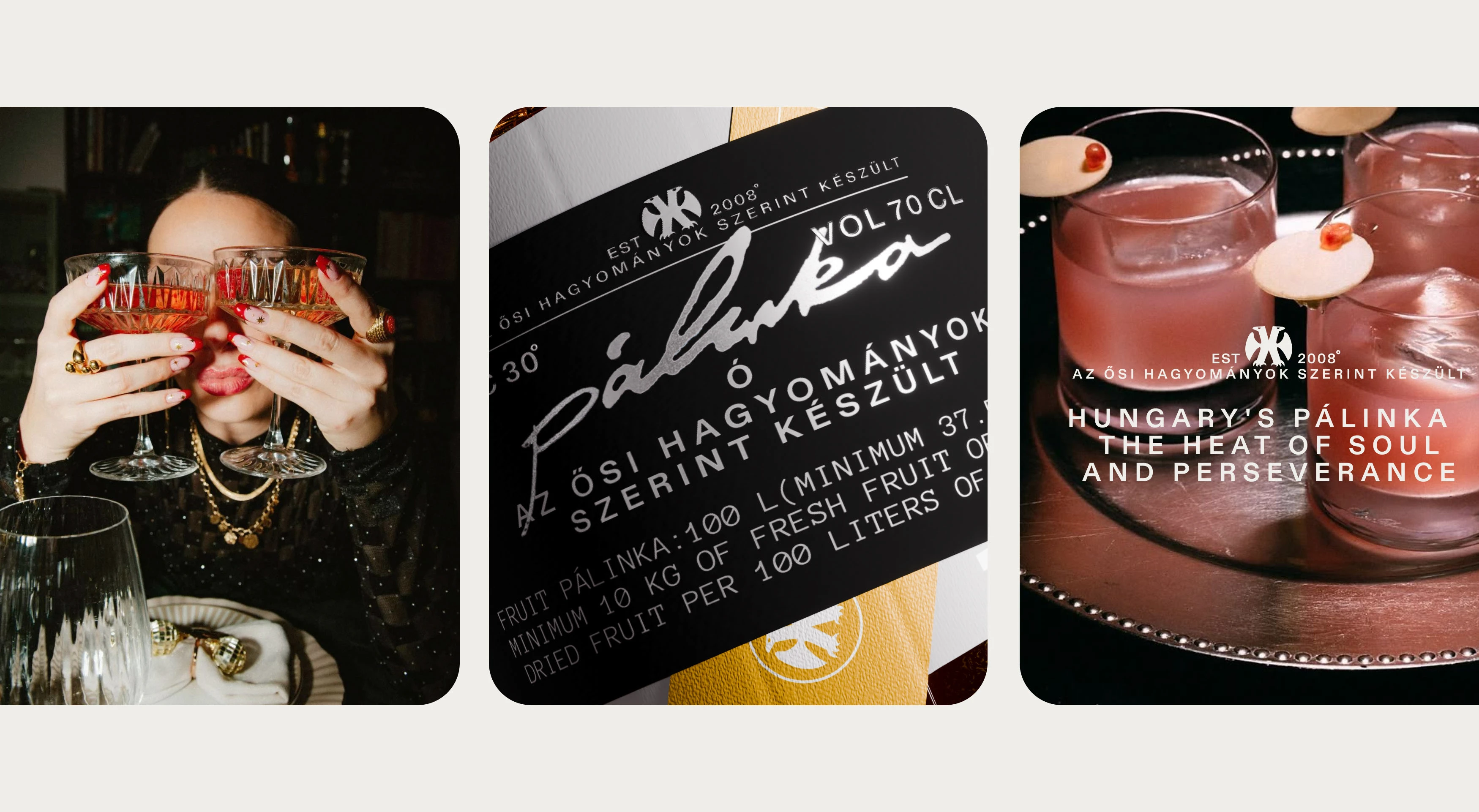 PACKAGING FOR HUNGARIAN BRANDY PÁLINKA — Изображение №17 — Брендинг, 3D на Dprofile