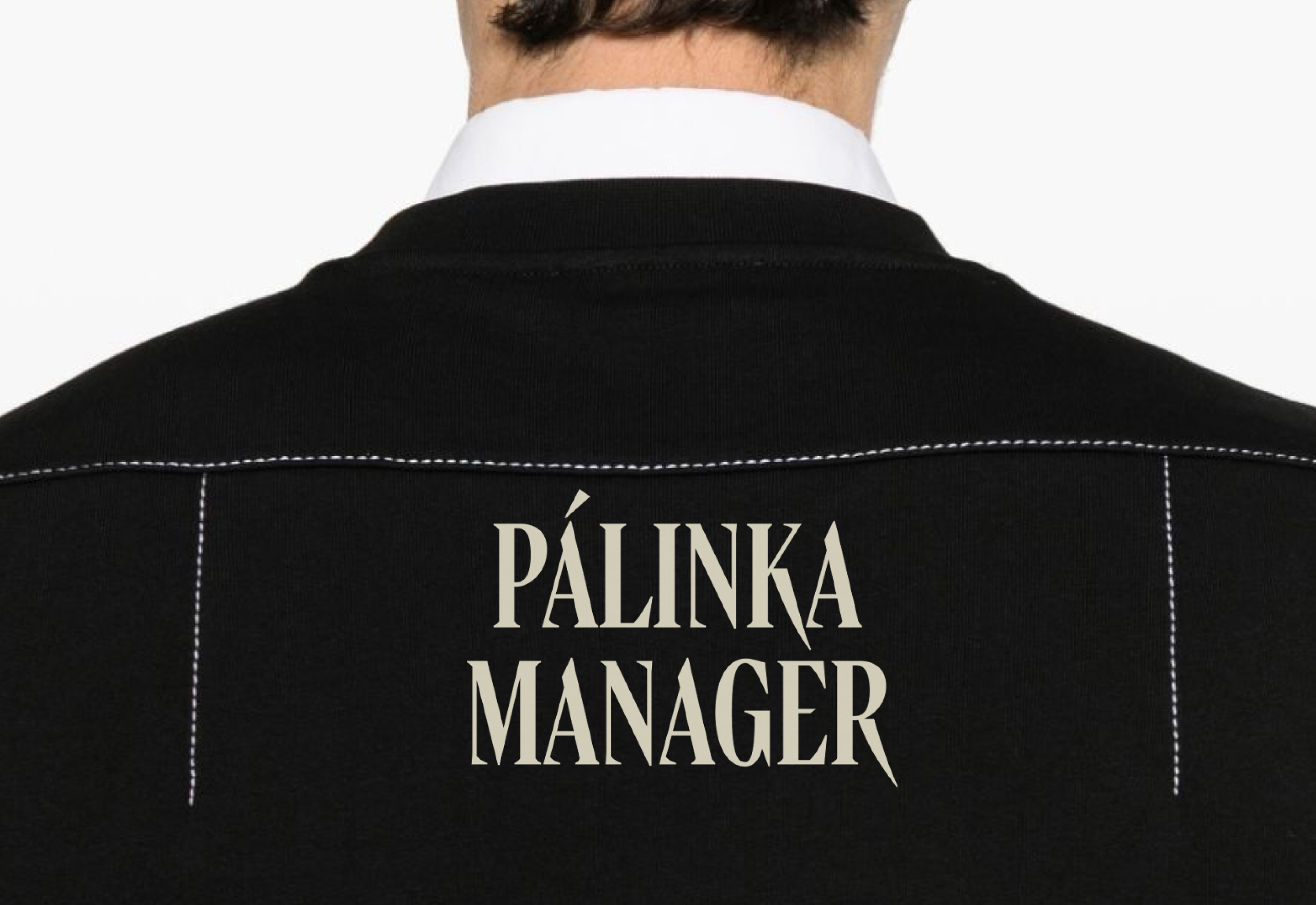 PÁLINKA — a brand of Hungarian fruit vodka — Изображение №10 — Брендинг на Dprofile