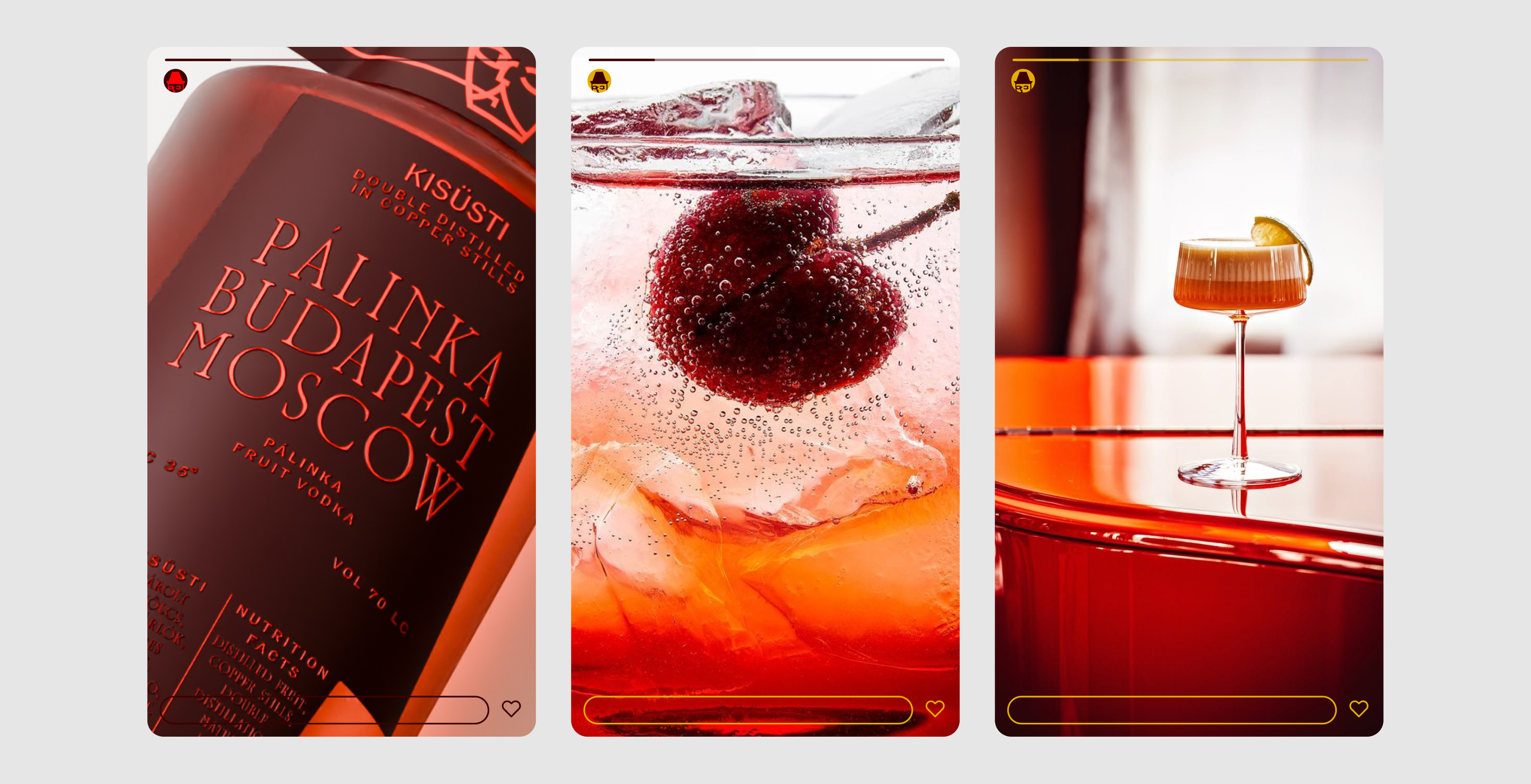 Hungarian Brandy Pálinka — Изображение №9 — Брендинг на Dprofile