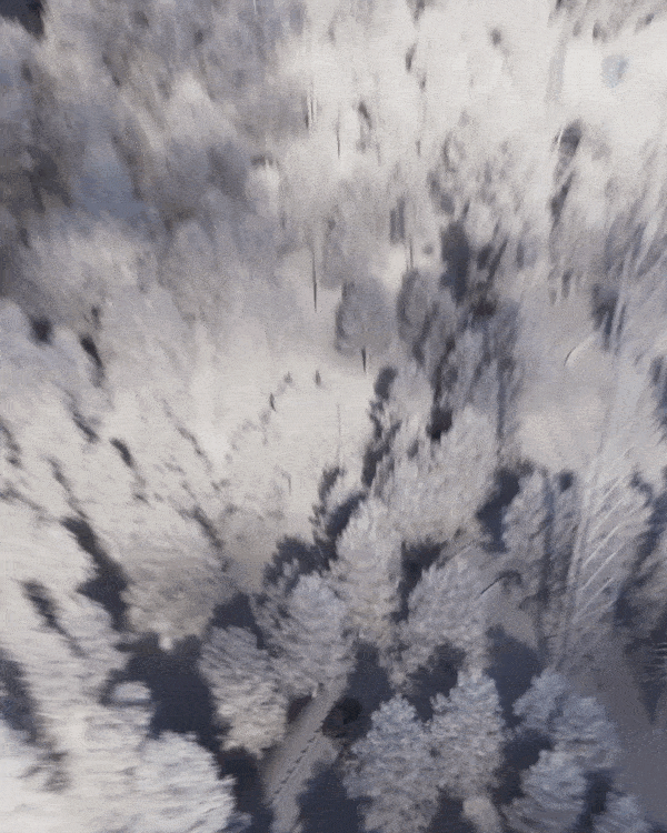 True Crime - 3D motion video — Изображение №17 — Иллюстрация, 3D на Dprofile