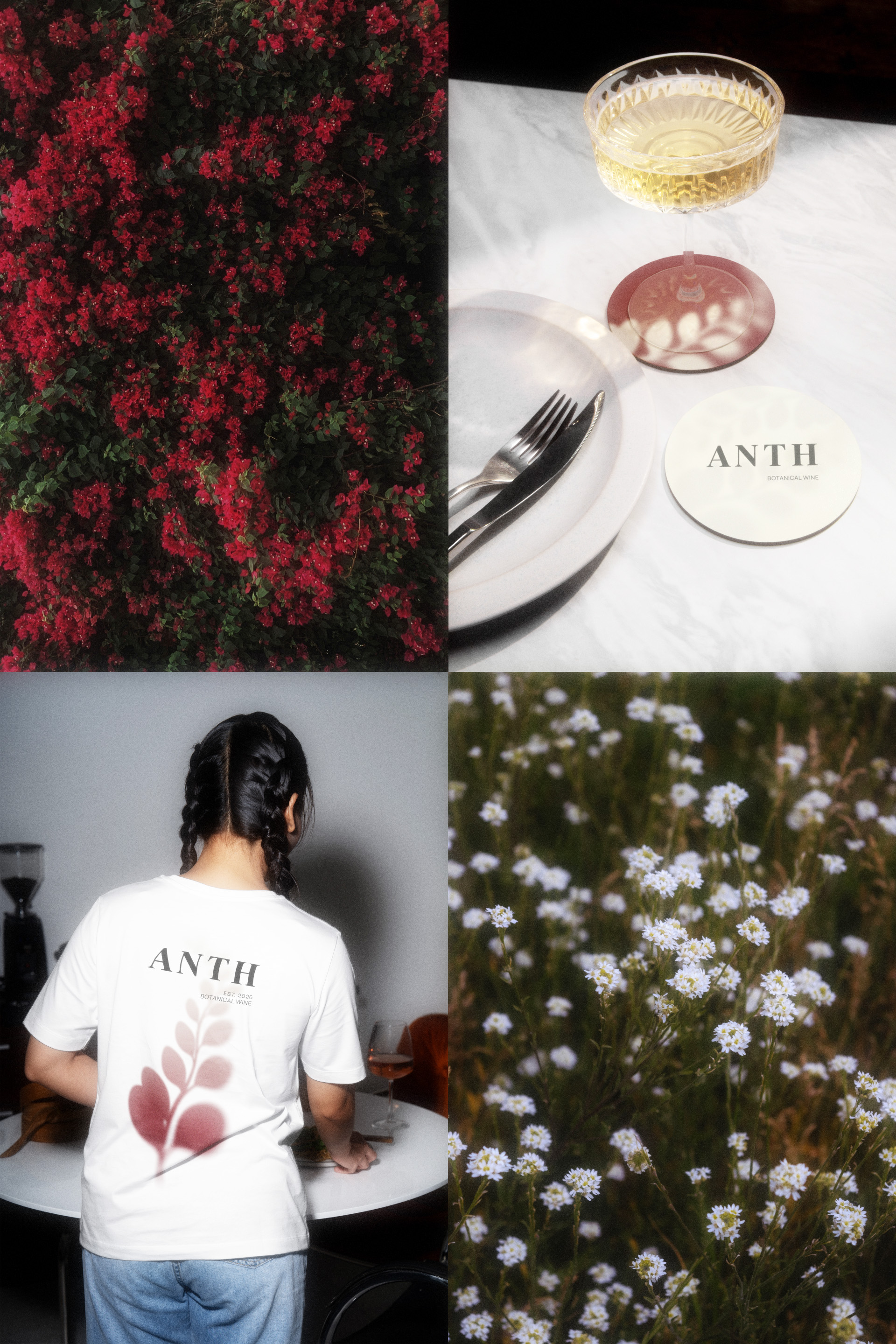 ANTHESIS - wine brand — Изображение №5 — Брендинг, Графика на Dprofile
