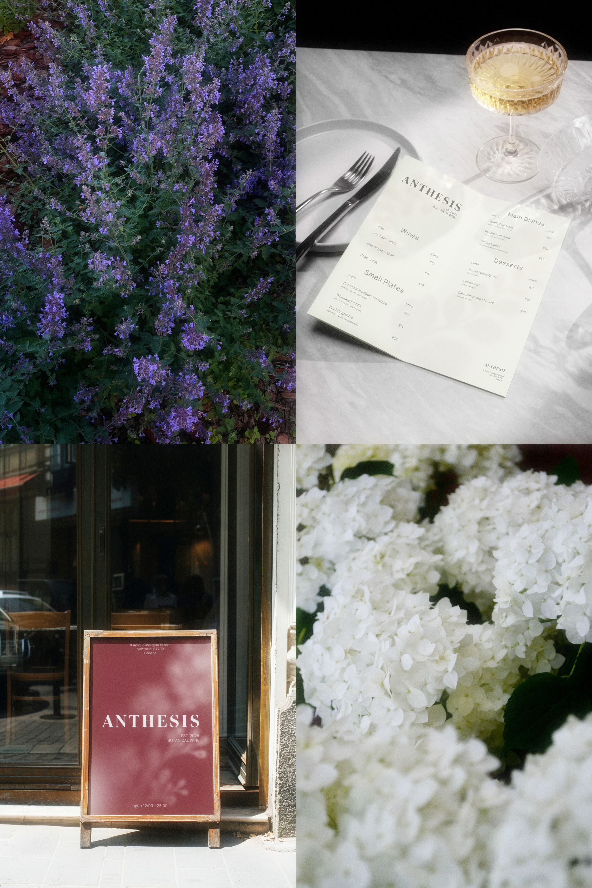 ANTHESIS - wine brand — Изображение №7 — Брендинг, Графика на Dprofile