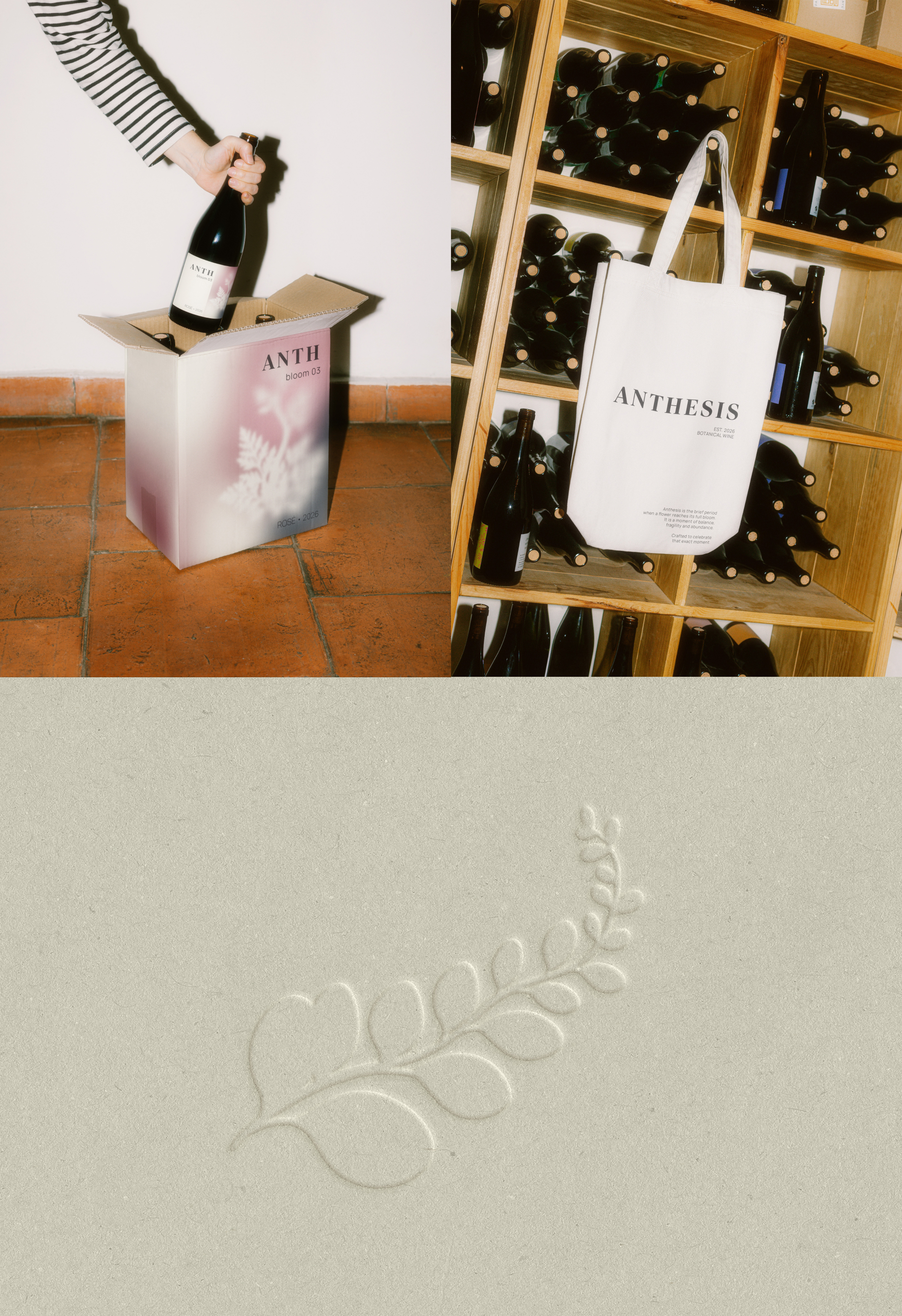 ANTHESIS - wine brand — Изображение №4 — Брендинг, Графика на Dprofile