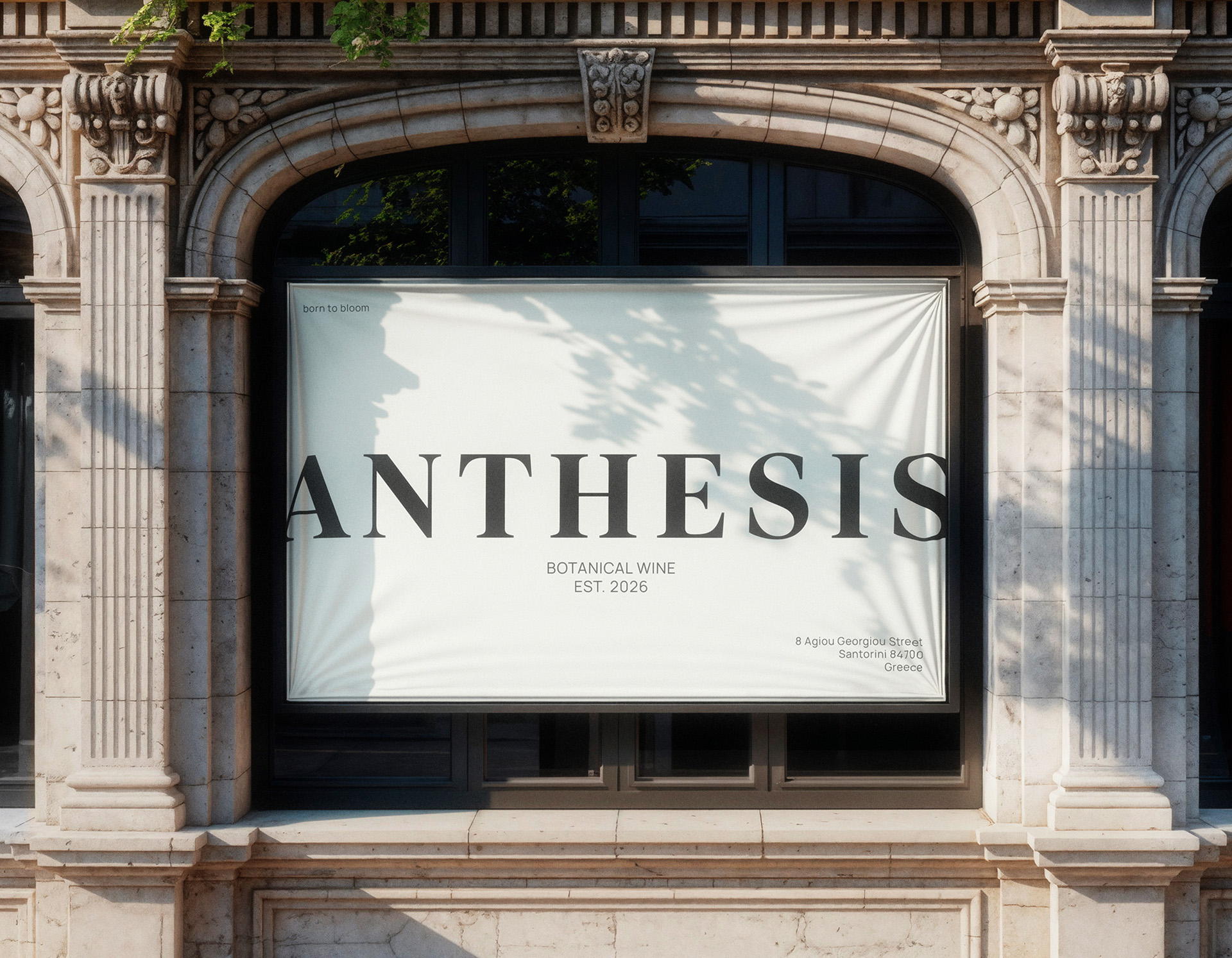 ANTHESIS - wine brand — Изображение №6 — Брендинг, Графика на Dprofile