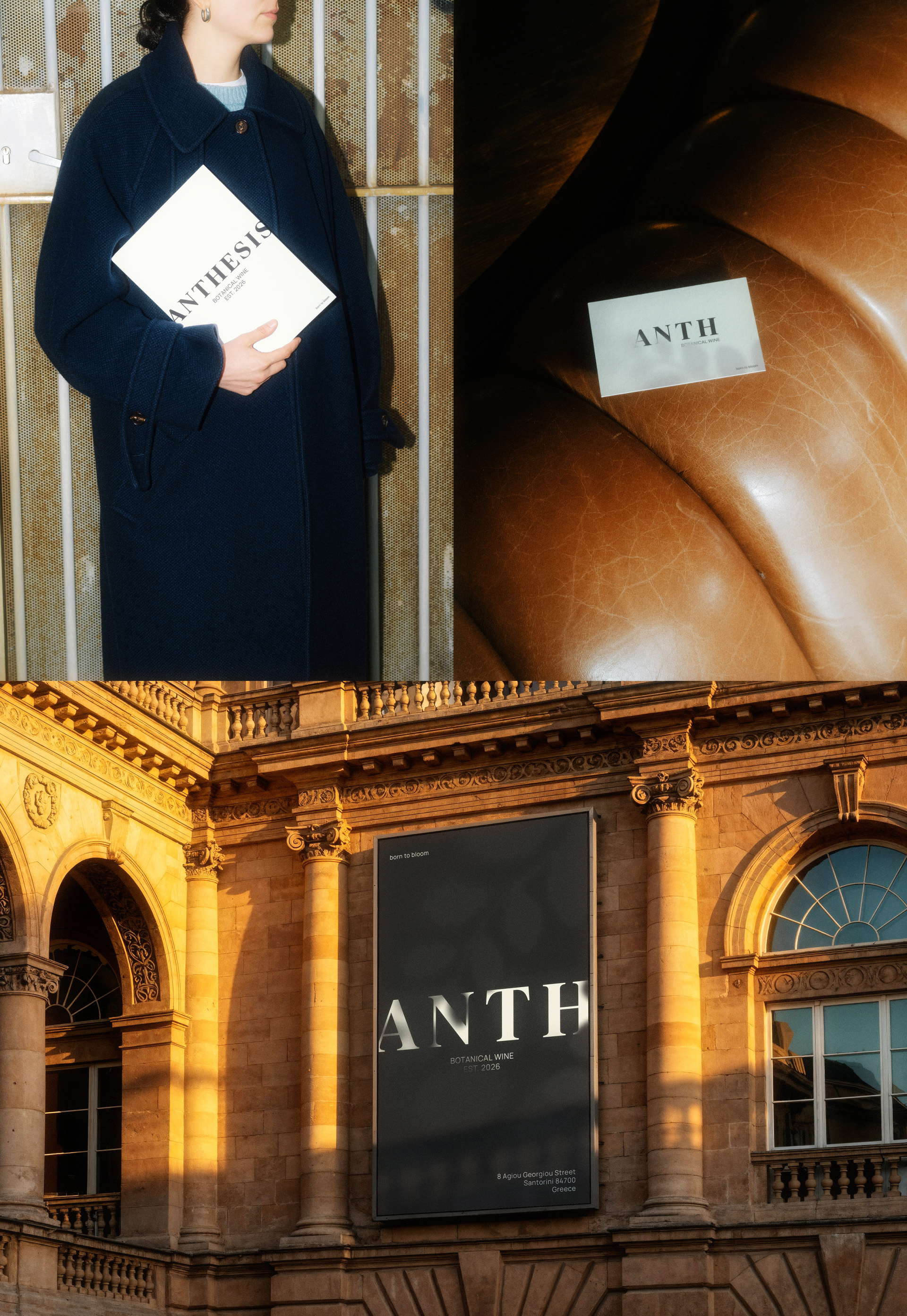 ANTHESIS - wine brand — Изображение №8 — Брендинг, Графика на Dprofile