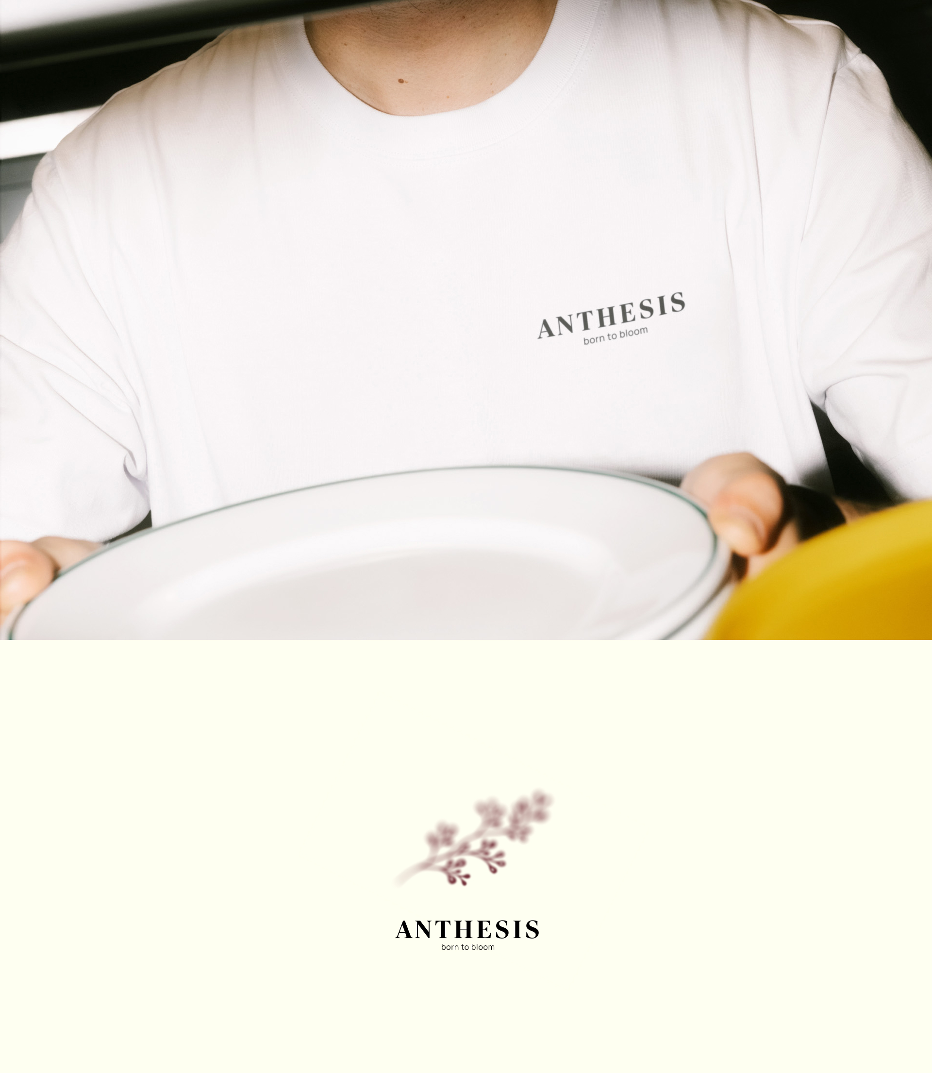 ANTHESIS - wine brand — Изображение №11 — Брендинг, Графика на Dprofile