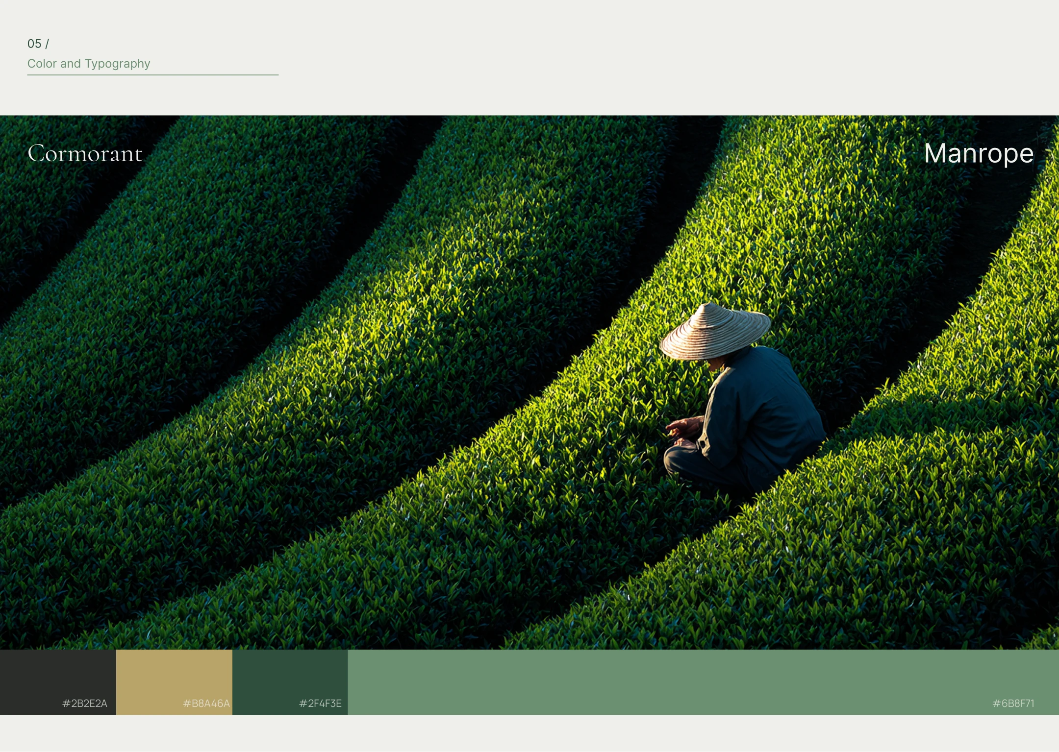 Japanese Tea E-commerce | UX/UI Case — Изображение №7 — Интерфейсы на Dprofile