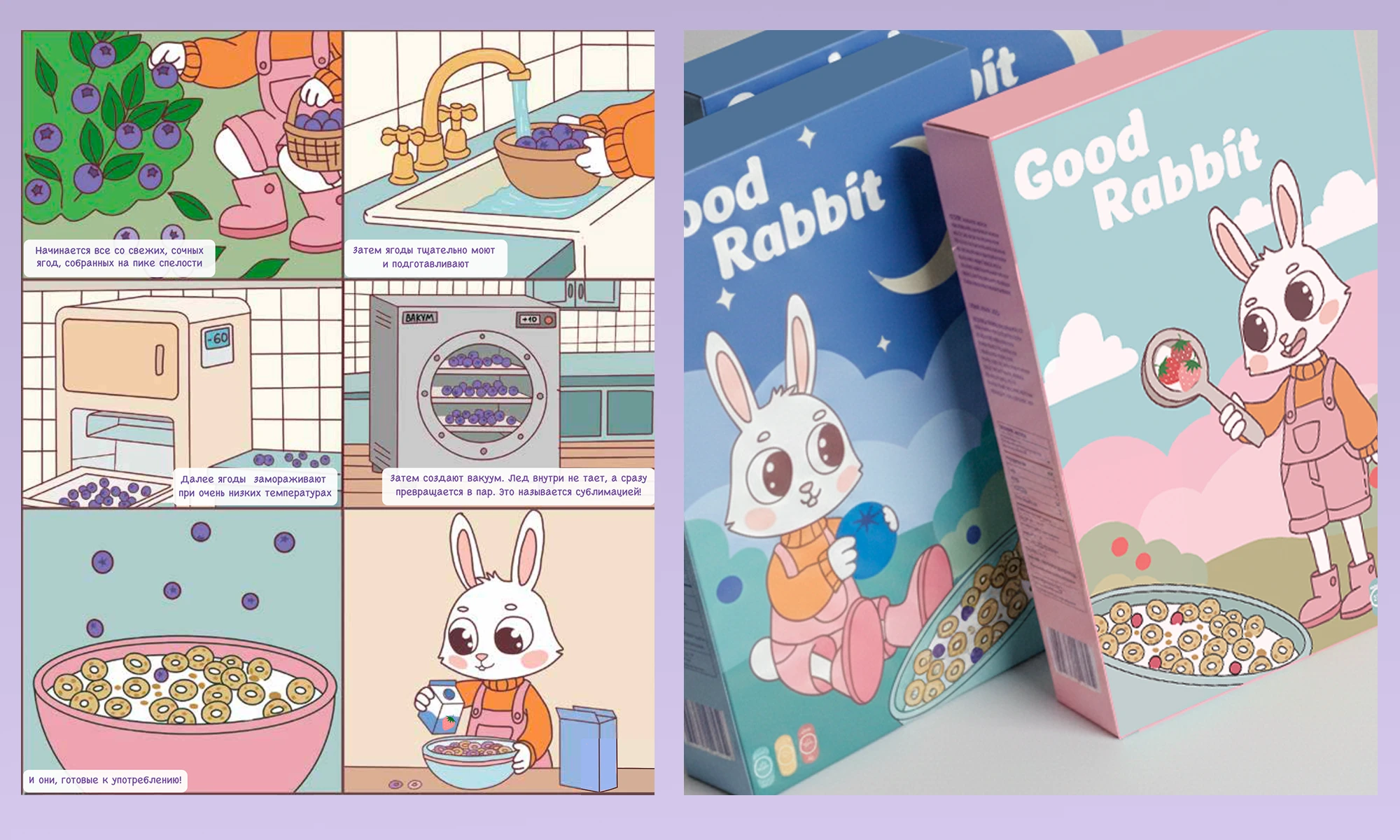 хлопья и молоко Good Rabbit — Изображение №10 — Брендинг на Dprofile